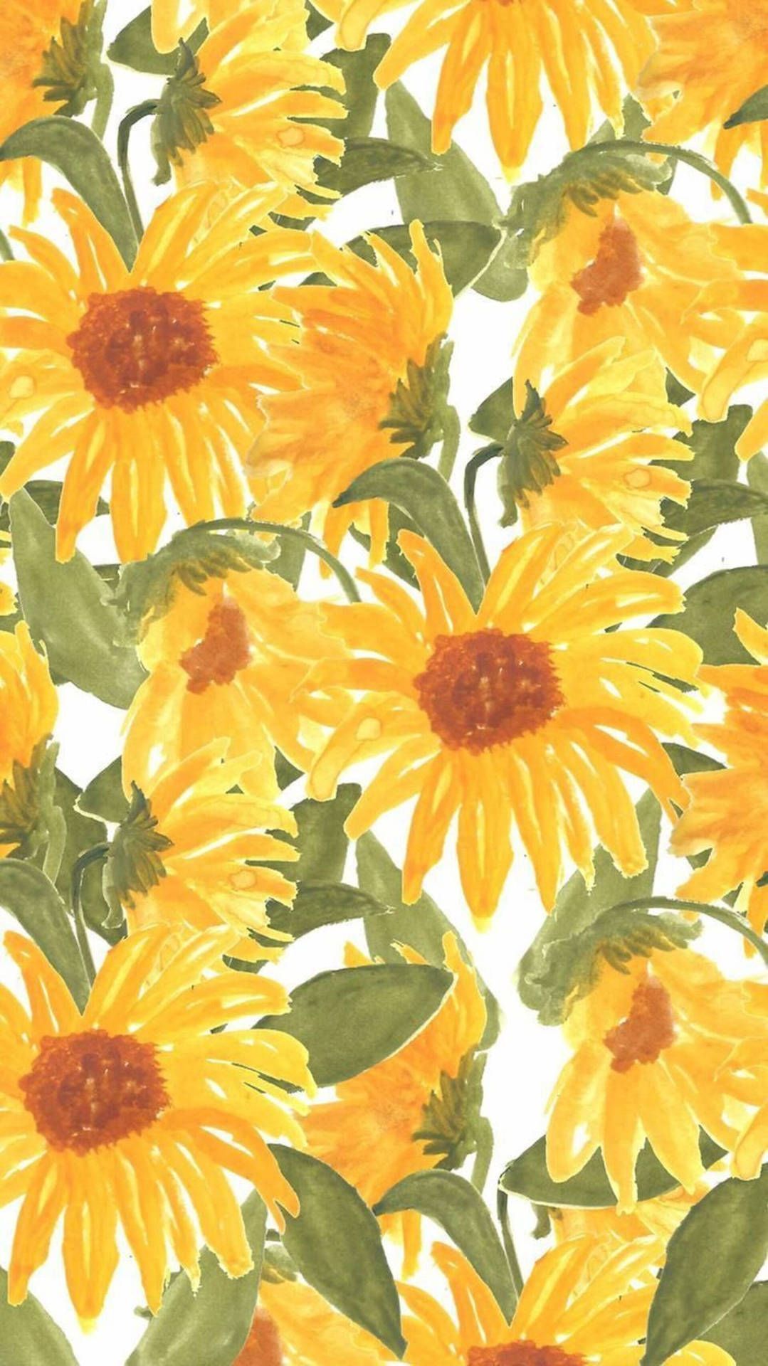 1079x1920 Download Sunflower iPhone Watercolor