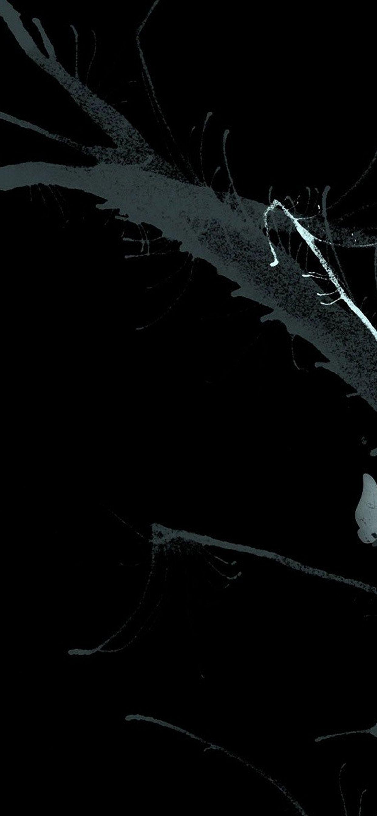1242x2688 Wallpaper