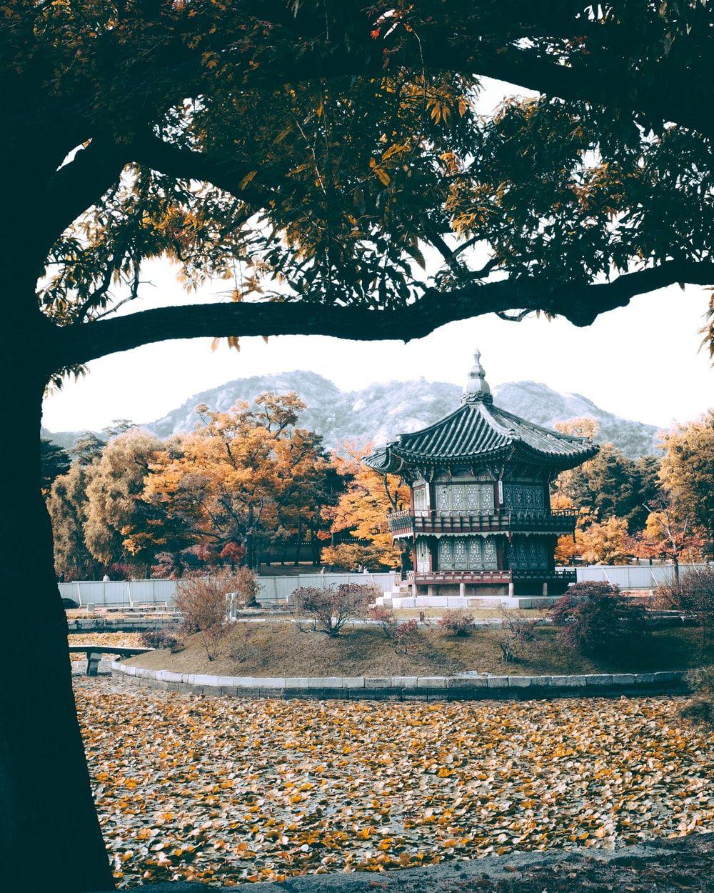 1000x1250 Gyeongbokgung Palace South Korea Picture. Download Free