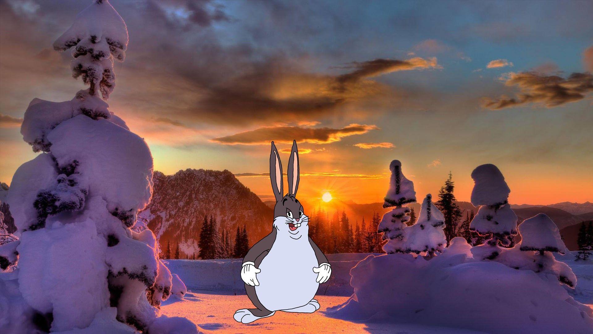 Big Chungus Wallpapers - Top Free Big Chungus Backgrounds - WallpaperAccess