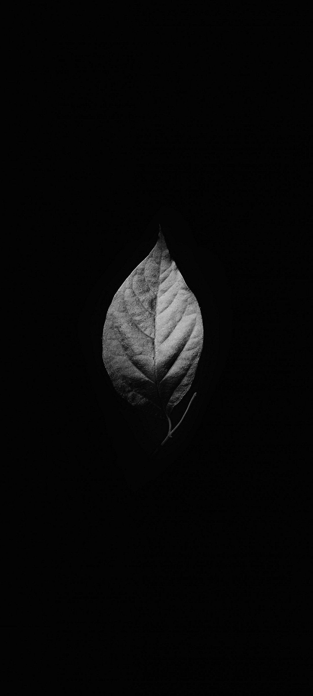 1080x2400 Minimalist 1080x2400 Wallpaper