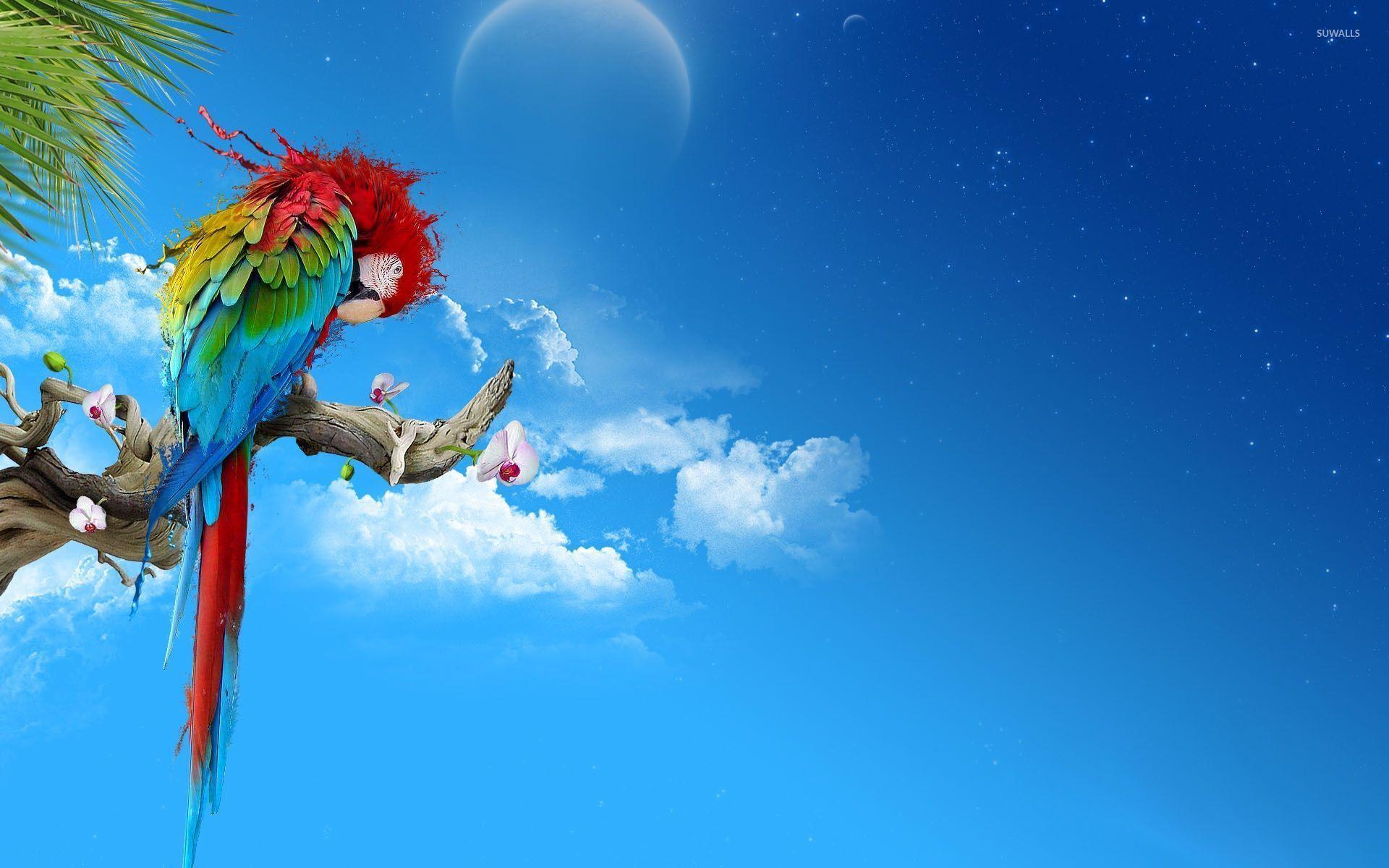 1920x1200 Macaw on the branch wallpaper wallpaper