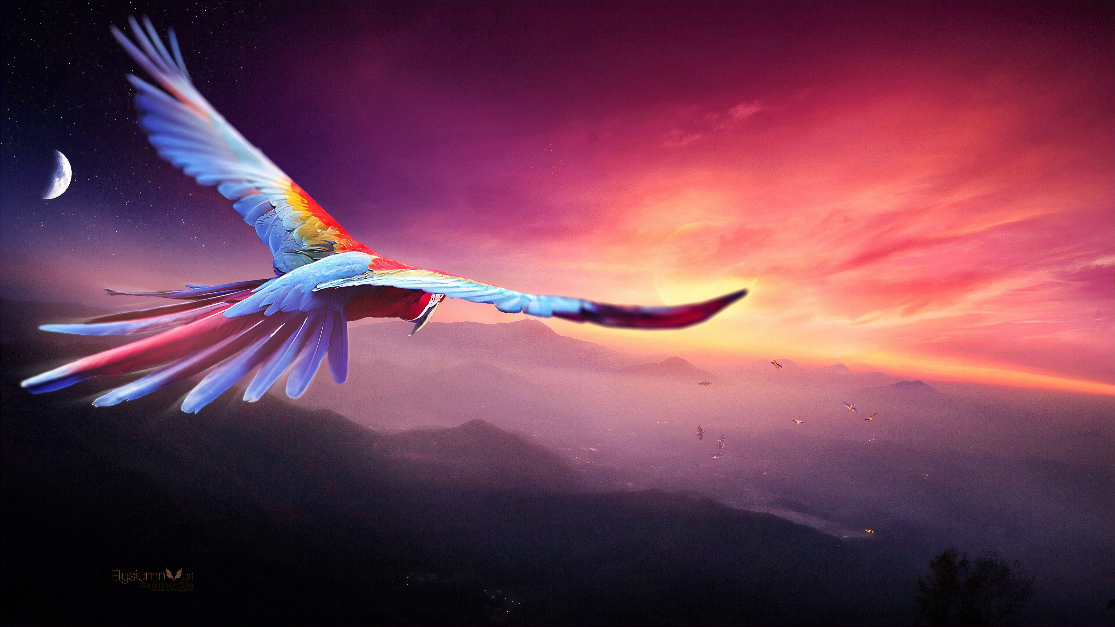 3840x2160 Macaw Flight Digital Art 4k, HD Birds, 4k Wallpaper, Image