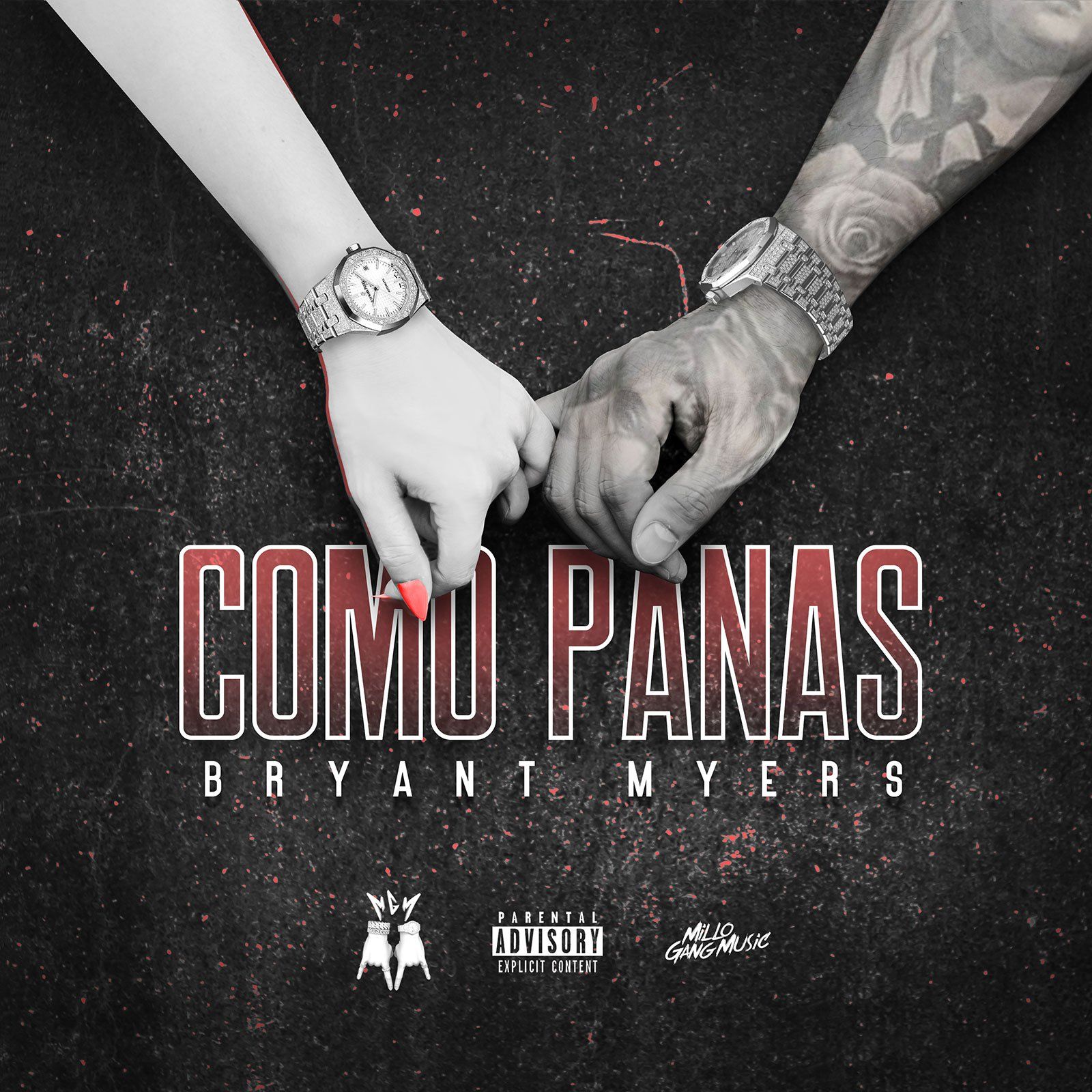 1600x1600 Como Panas