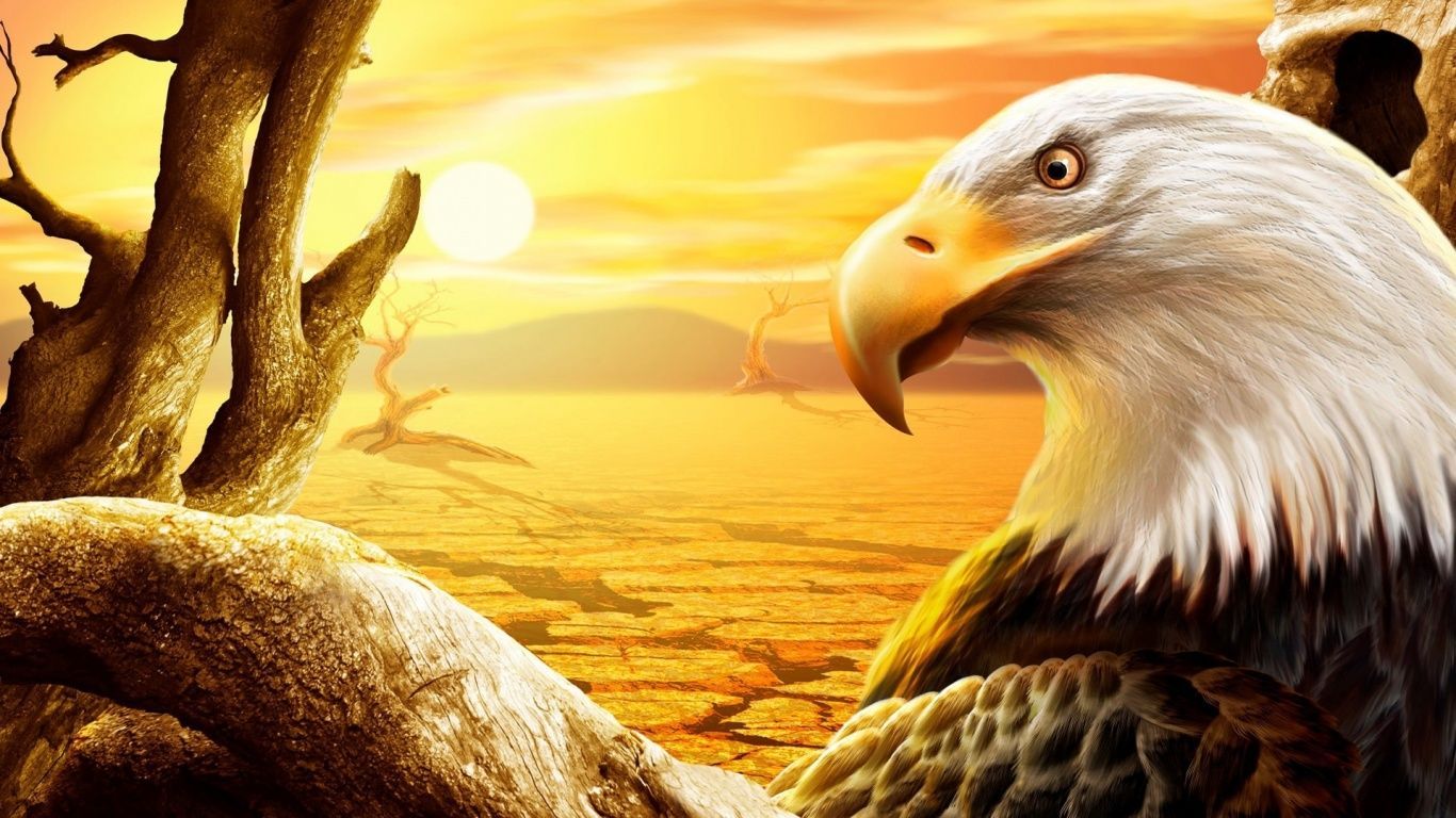 1366x768 download 3D wallpaper