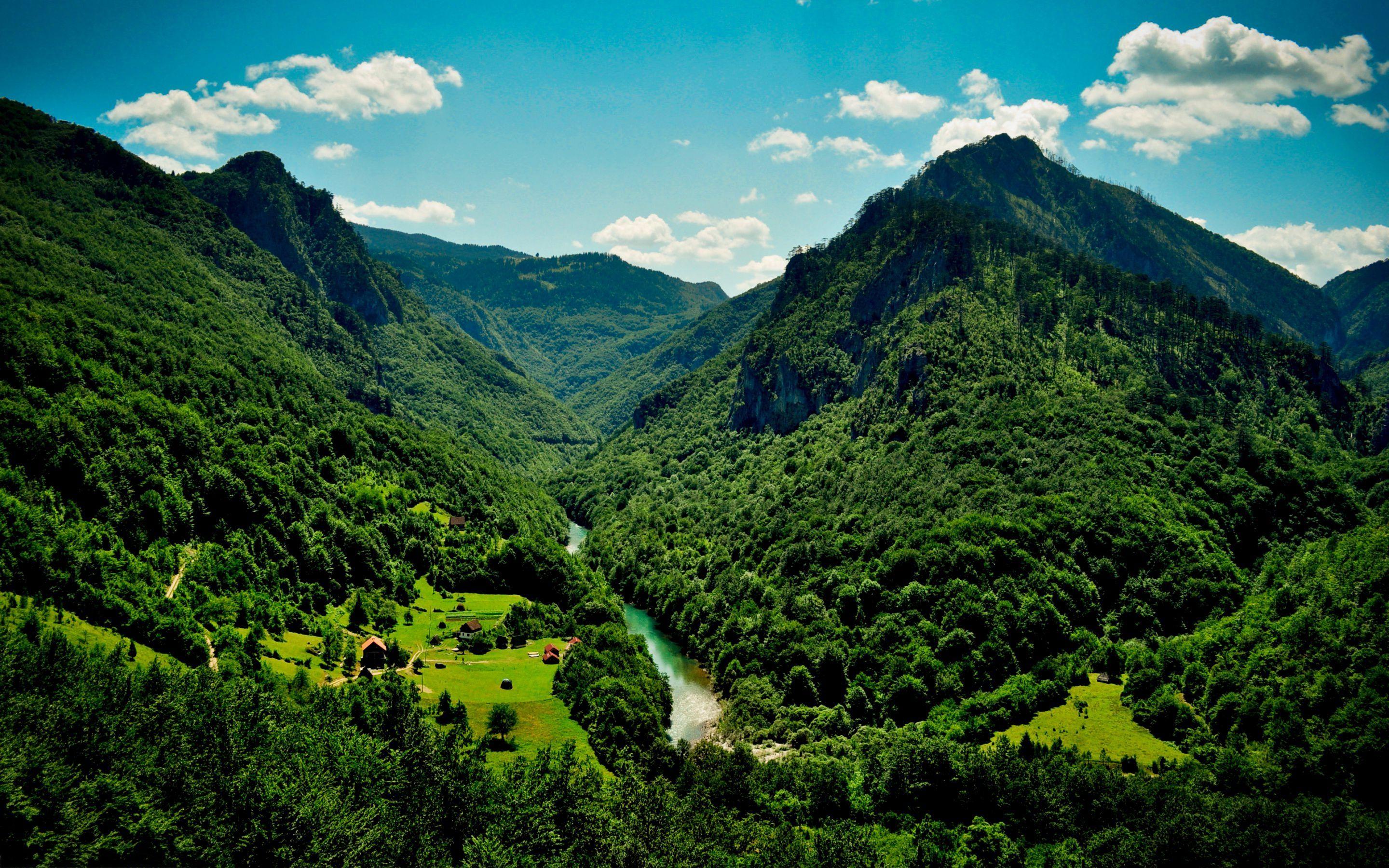 2880x1800 Related image. Beautiful Landscapes. Forest landscape