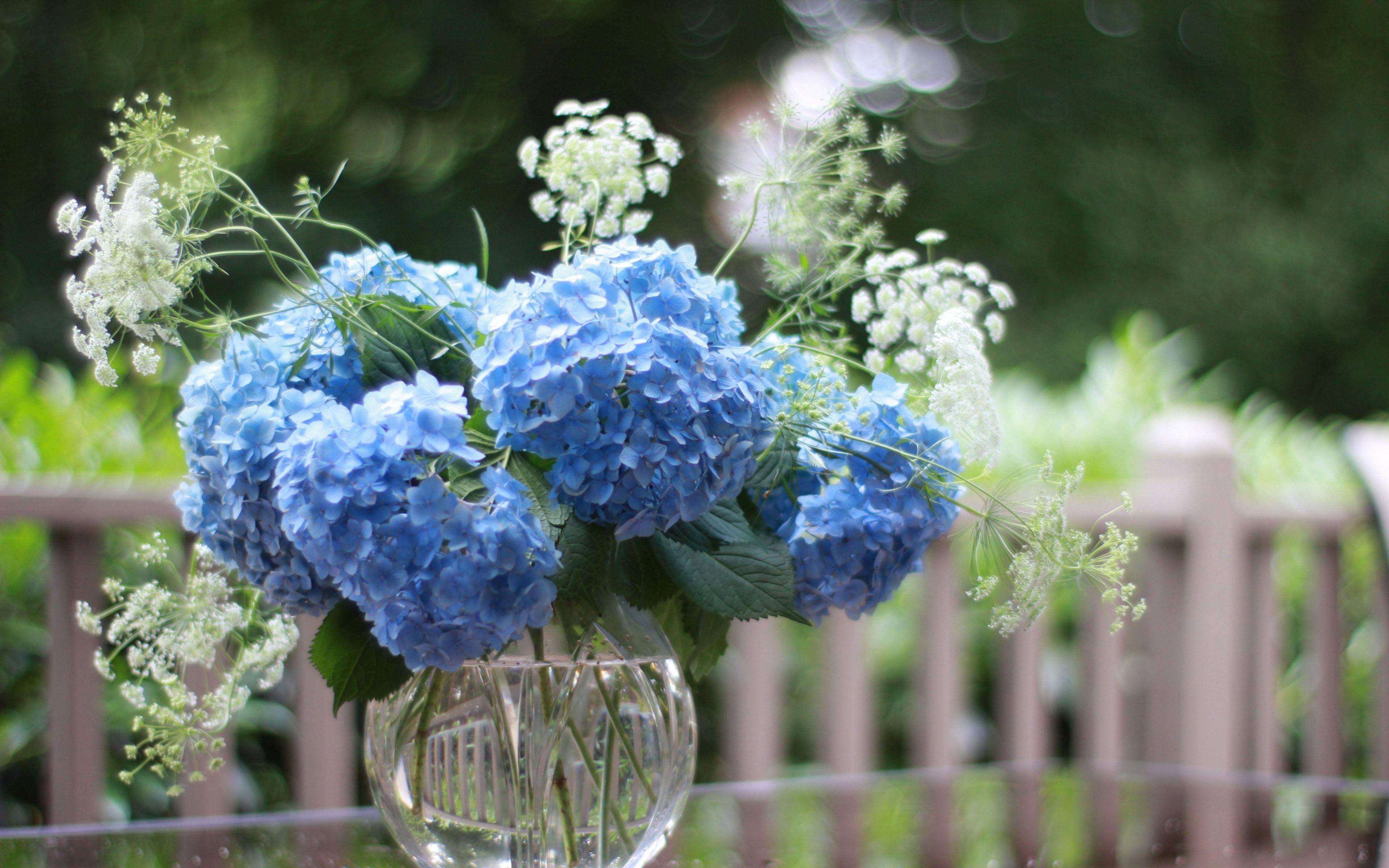 3840x2400 Download wallpaper 3840x2400 hydrangea, vase, bouquet