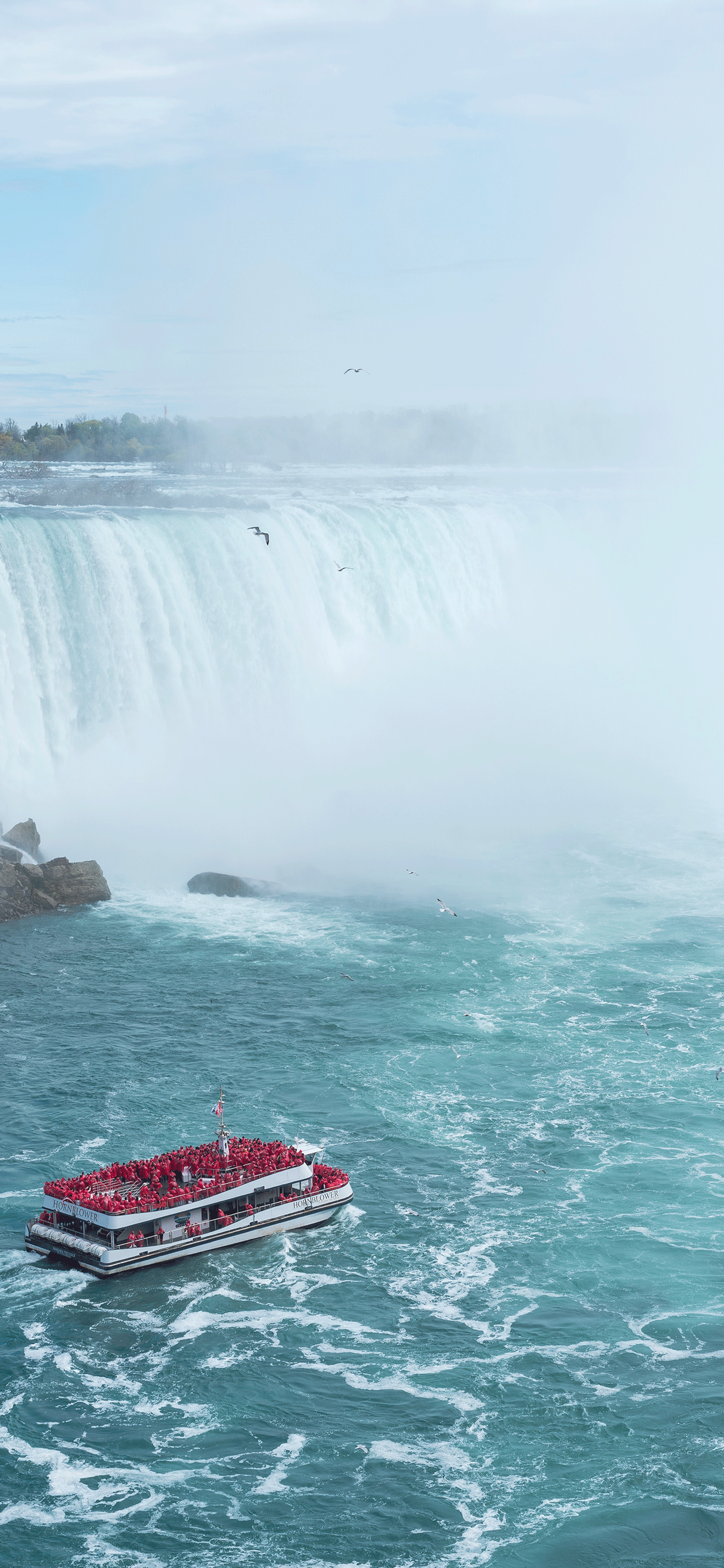 1242x2688 Niagara Falls Wallpaper for iPhone X, 6