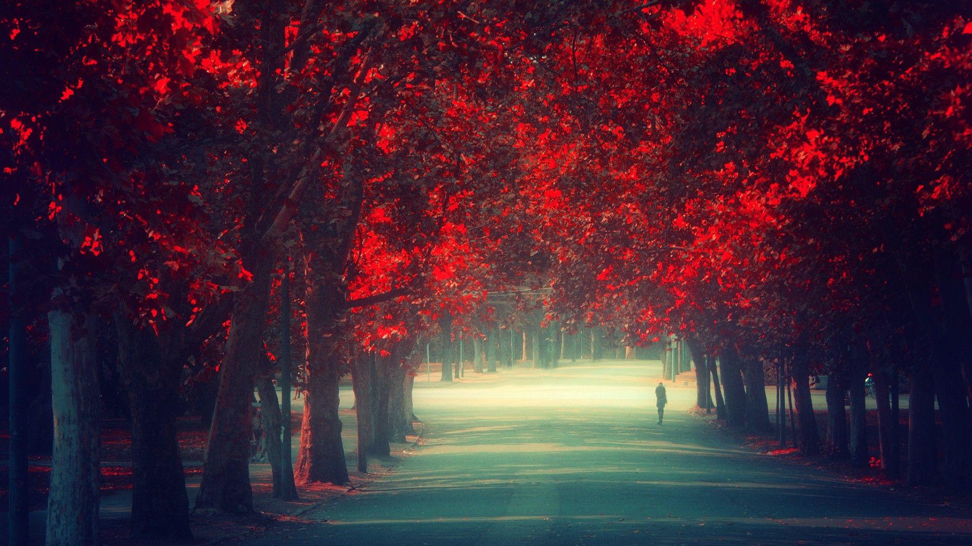 1920x1080 Tumblr Wallpaper Desktop Group 1920x1080