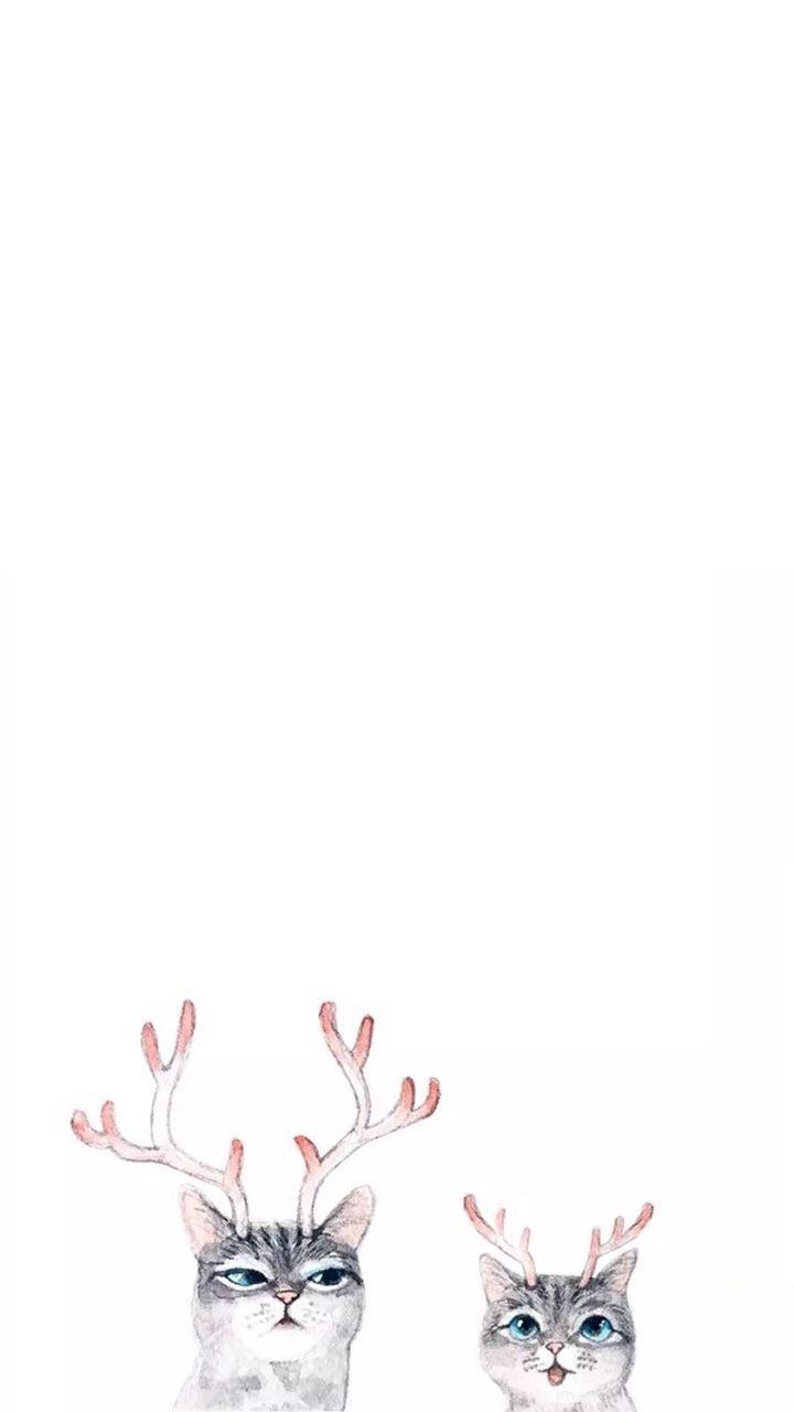 720x1280 best CUTE CAT PHONE WALLPAPERS image