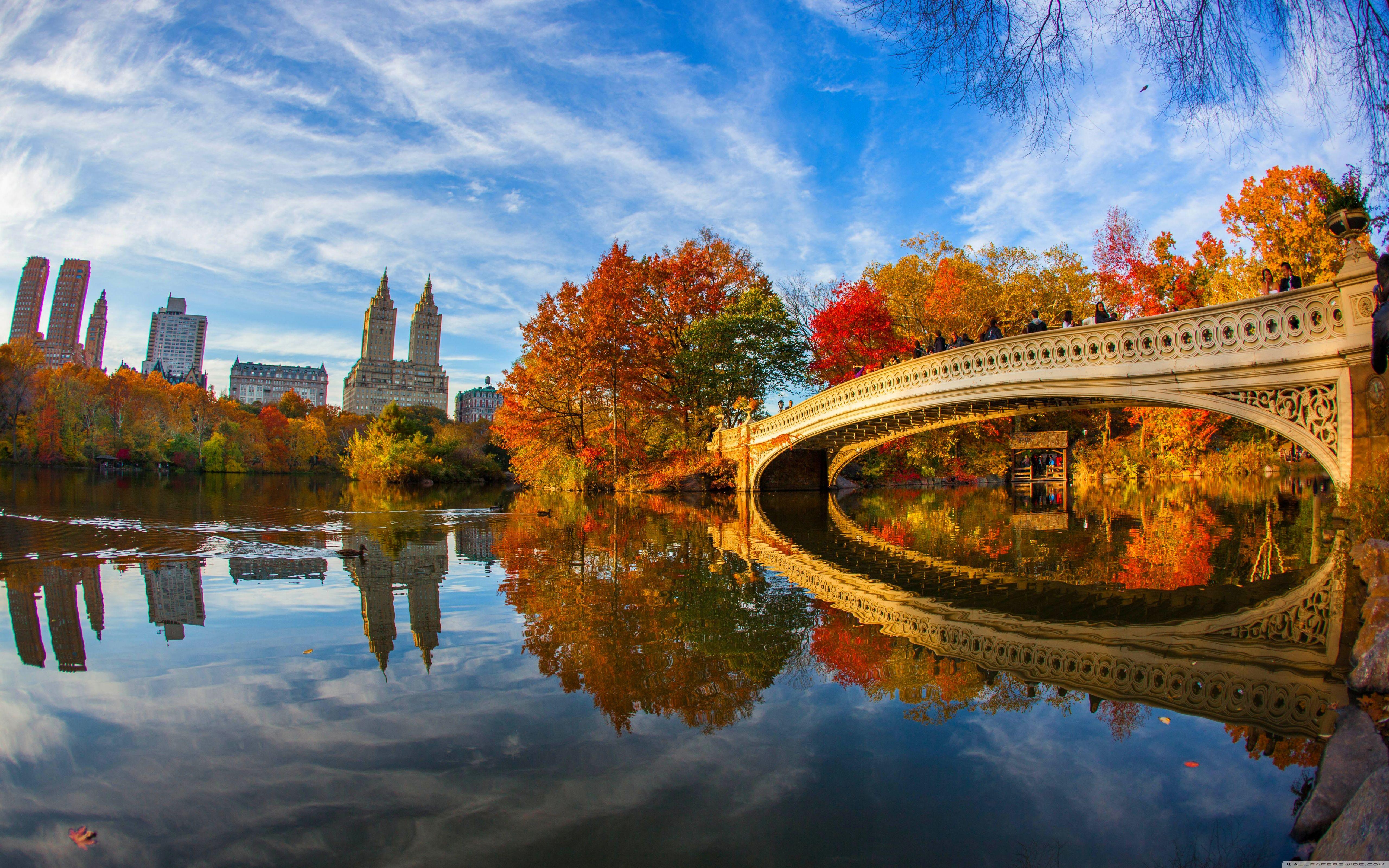 Central Park Fall Wallpapers Top Free Central Park Fall Backgrounds 