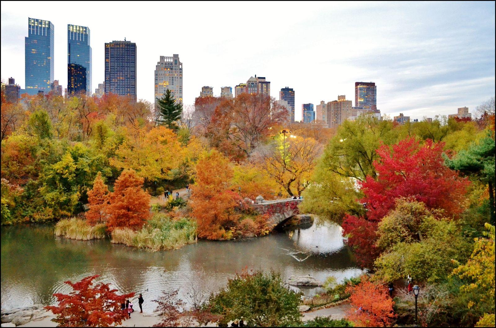 What To Wear In New York Fall Detroit Chinatown What To Wear In New York Fall Detroit Chinatown