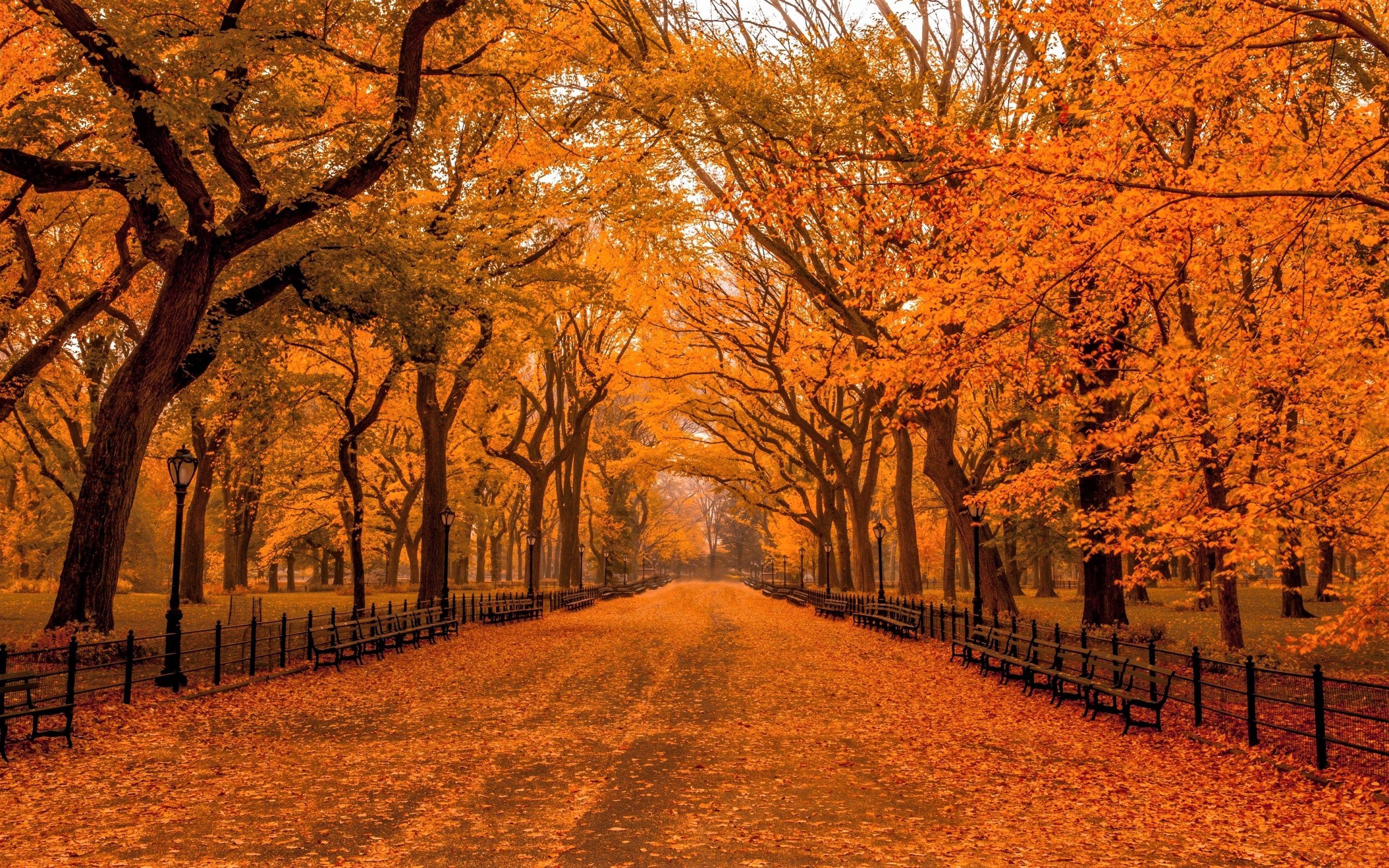 autumn in new york