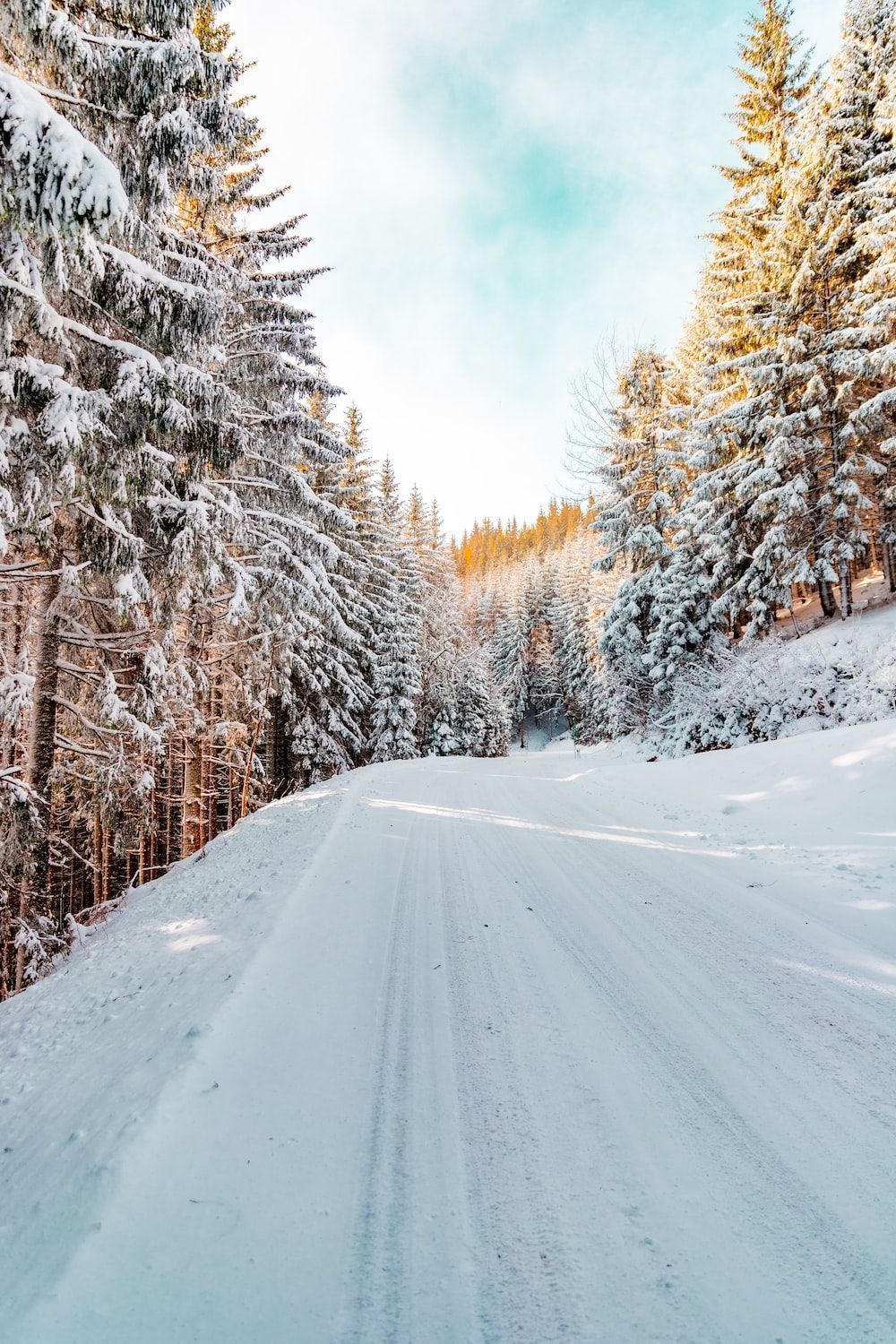 1000x1500 Winter Road Snow Wallpaper