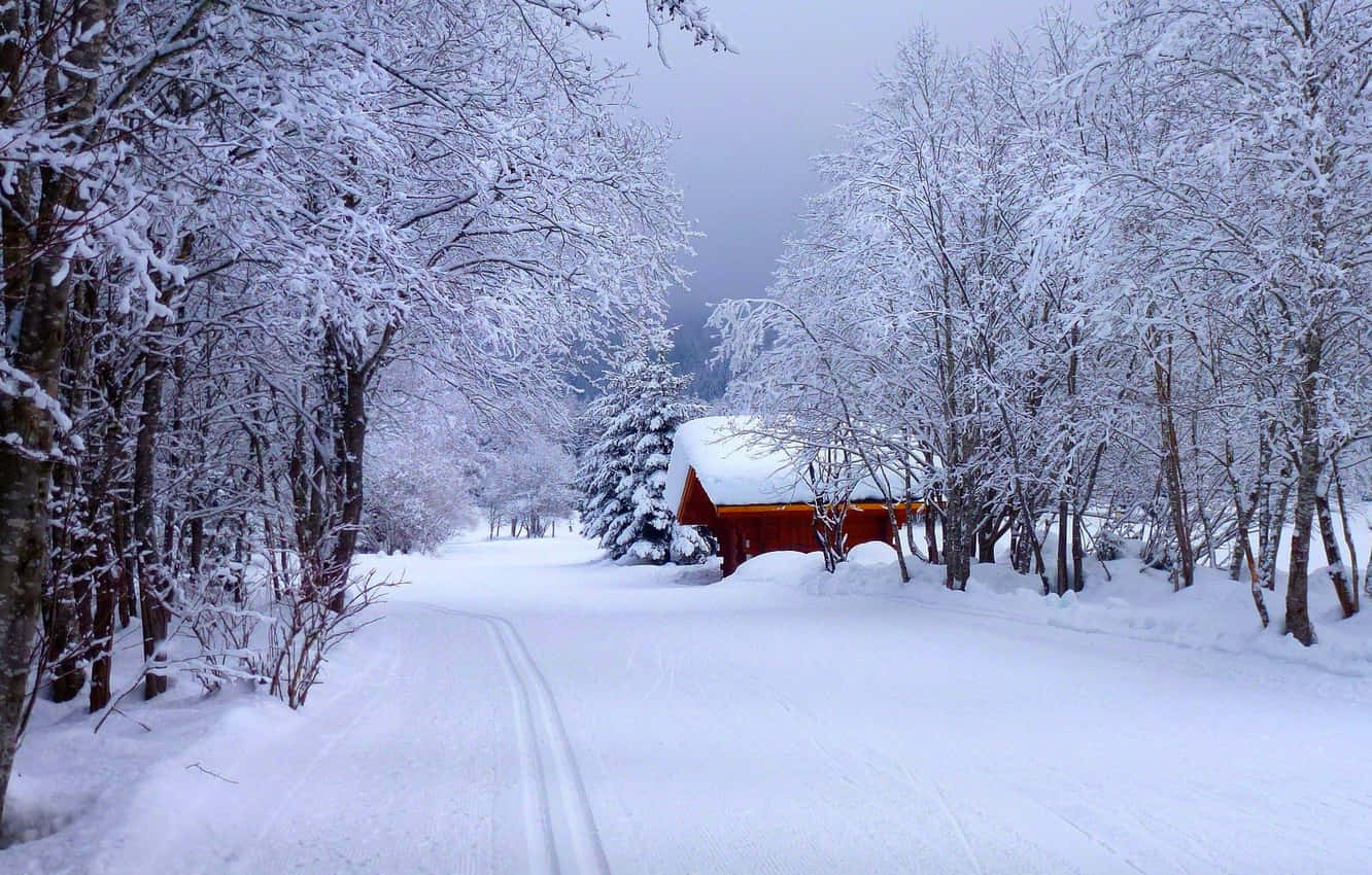 1332x850 Snowy Road Wallpaper