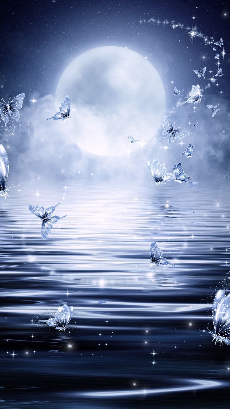 736x1308 Moon, butterflies, stars background