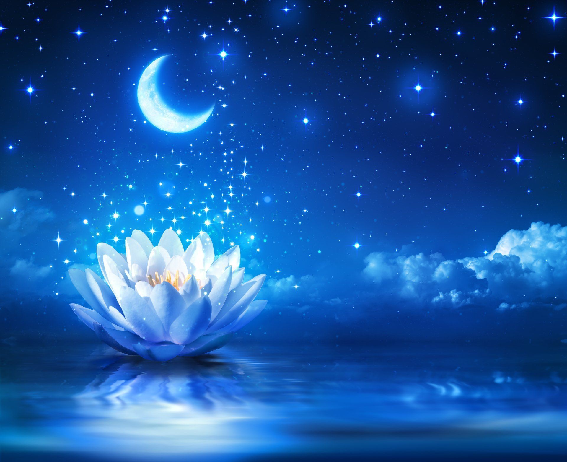 1920x1564 Flower Water Lily Artistic Flower 4k