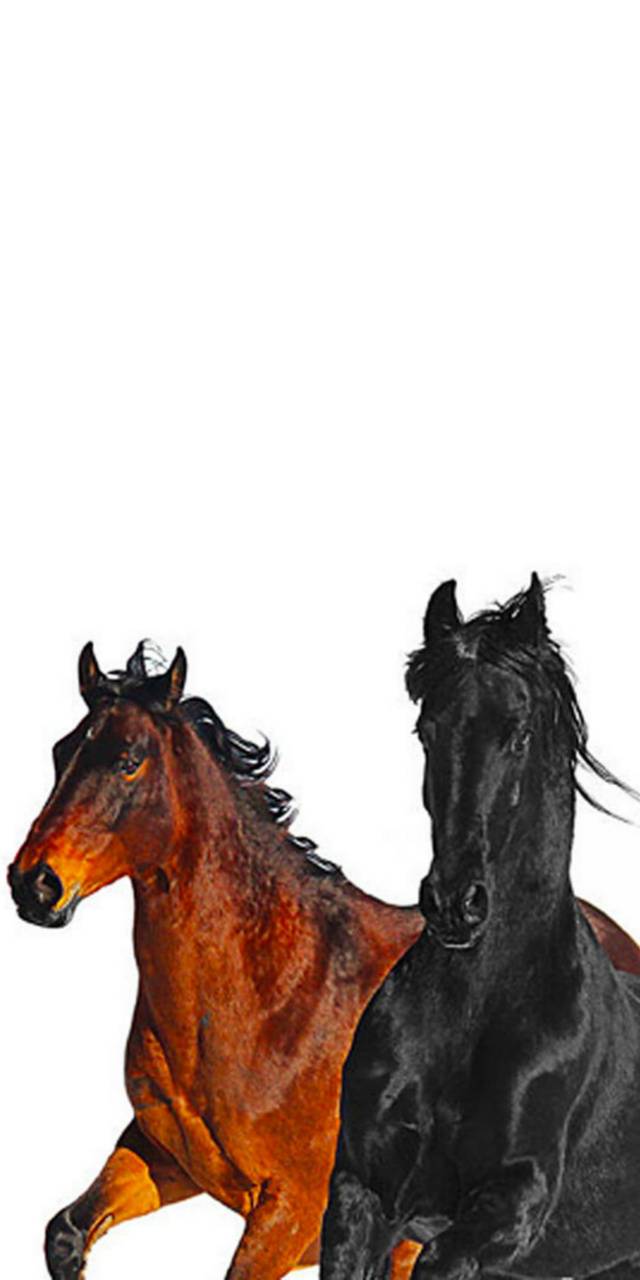 Old Town Road Lyrics Wallpaper