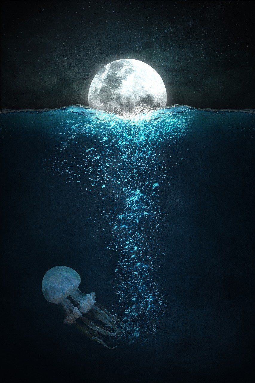 853x1280 Download Moon, Water, Mystical. Royalty