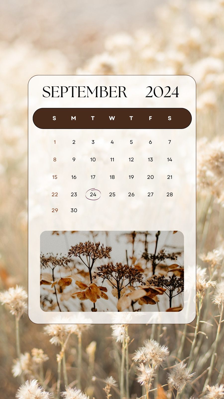 900x1600 September 2024 Calendar Wallpaper