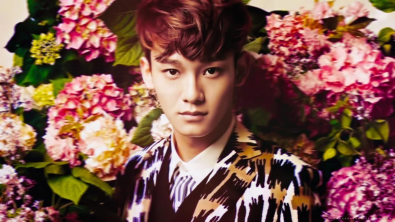 1366x768 * {K Pop} *. Exo Wallpaper HD