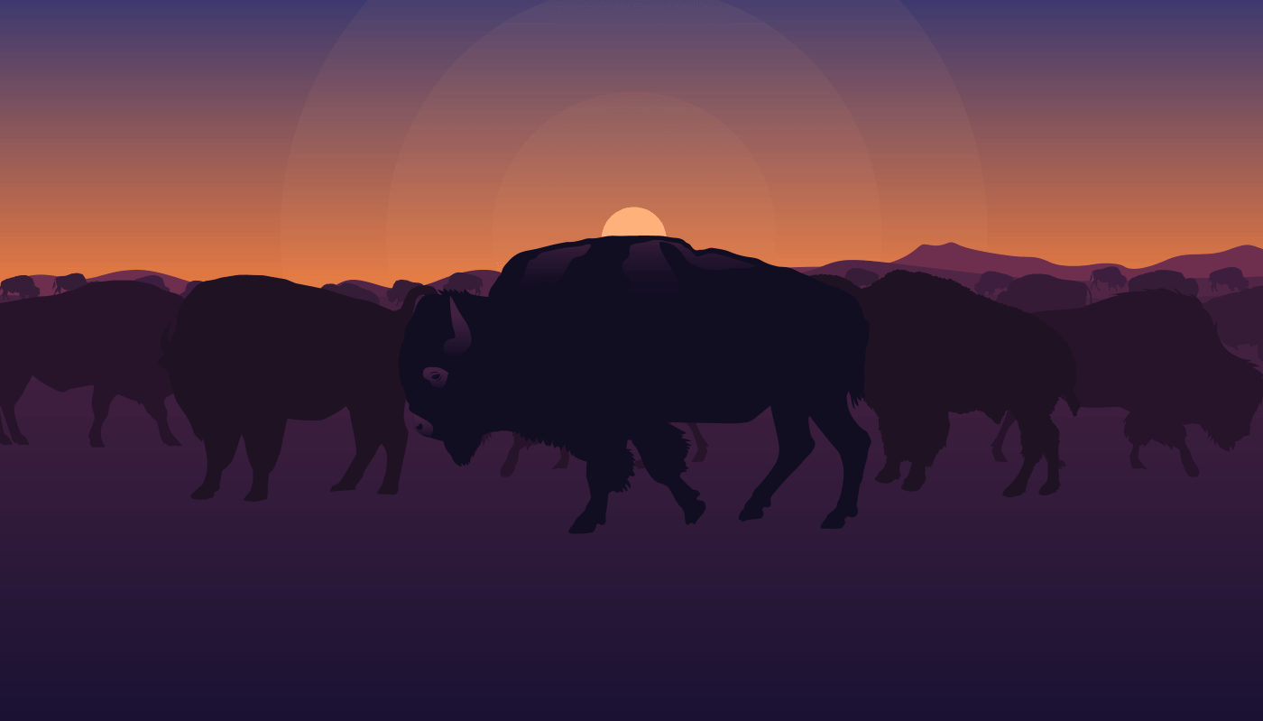 1400x799 How bison help shape the Northern Great