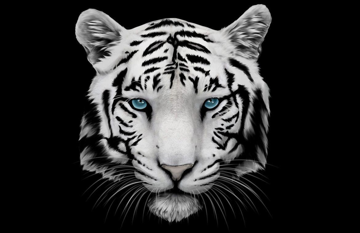 1170x757 Tiger Wallpaper New Tab