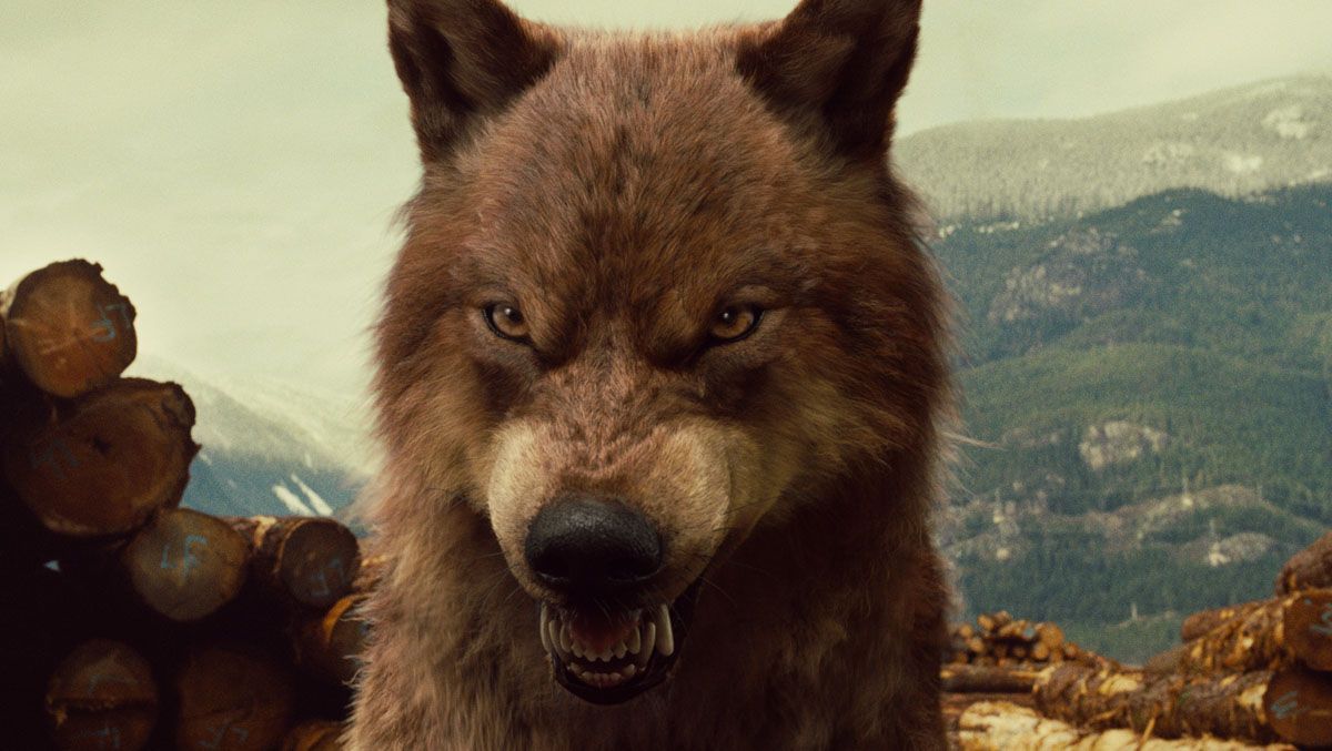1200x677 Jacob Black