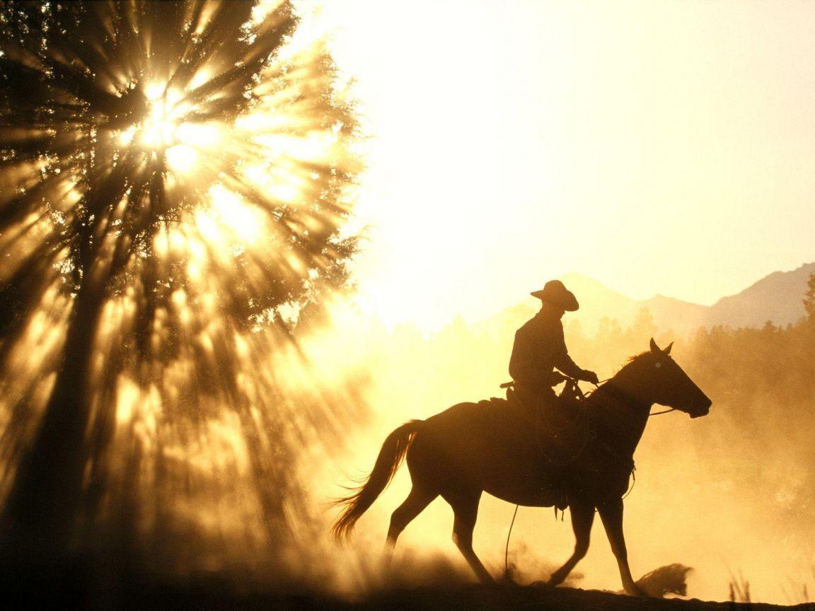 Western Cowboy Desktop Wallpapers Top Free Western Cowboy Desktop 