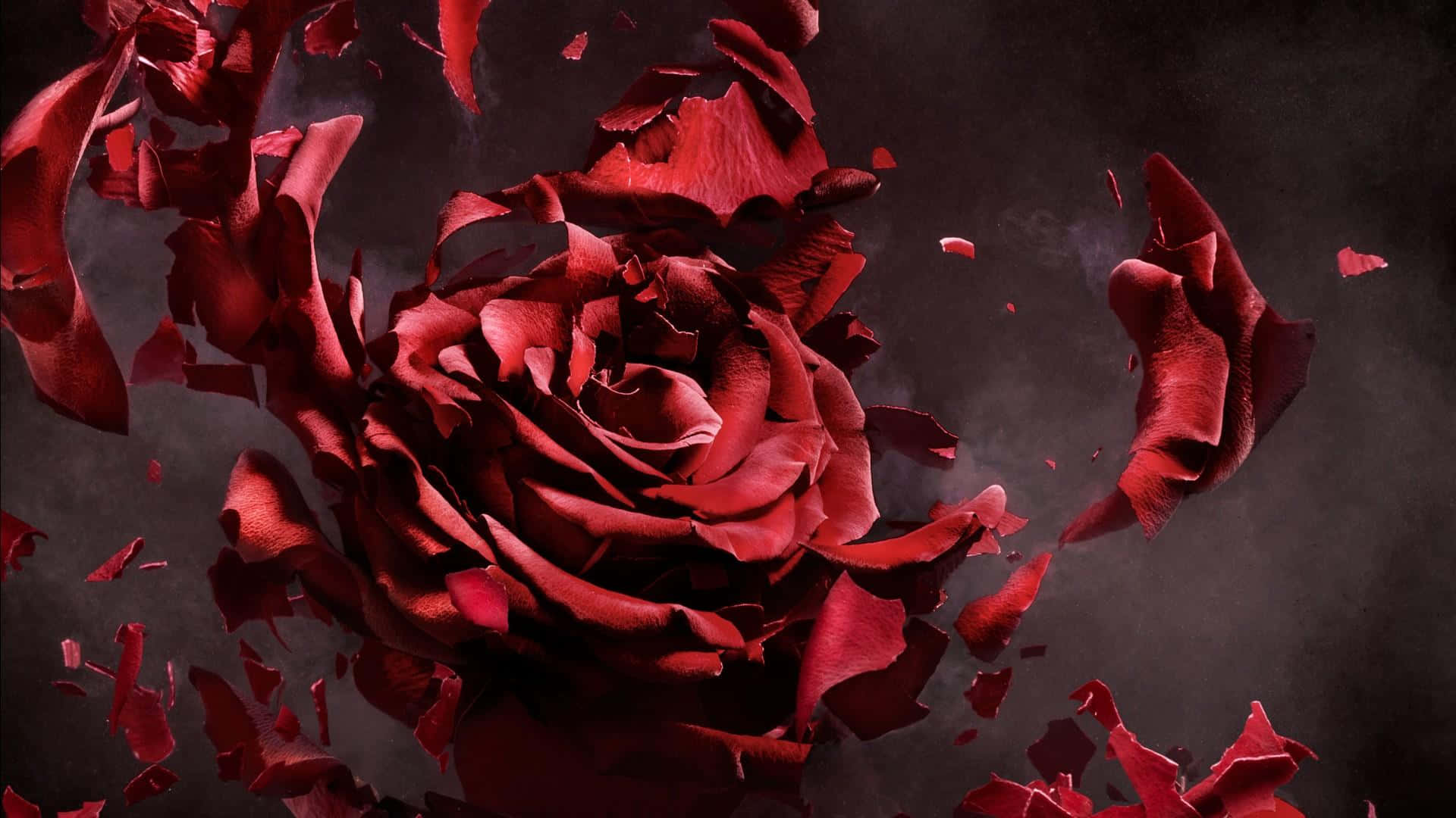 1920x1080 Rose Art Wallpaper