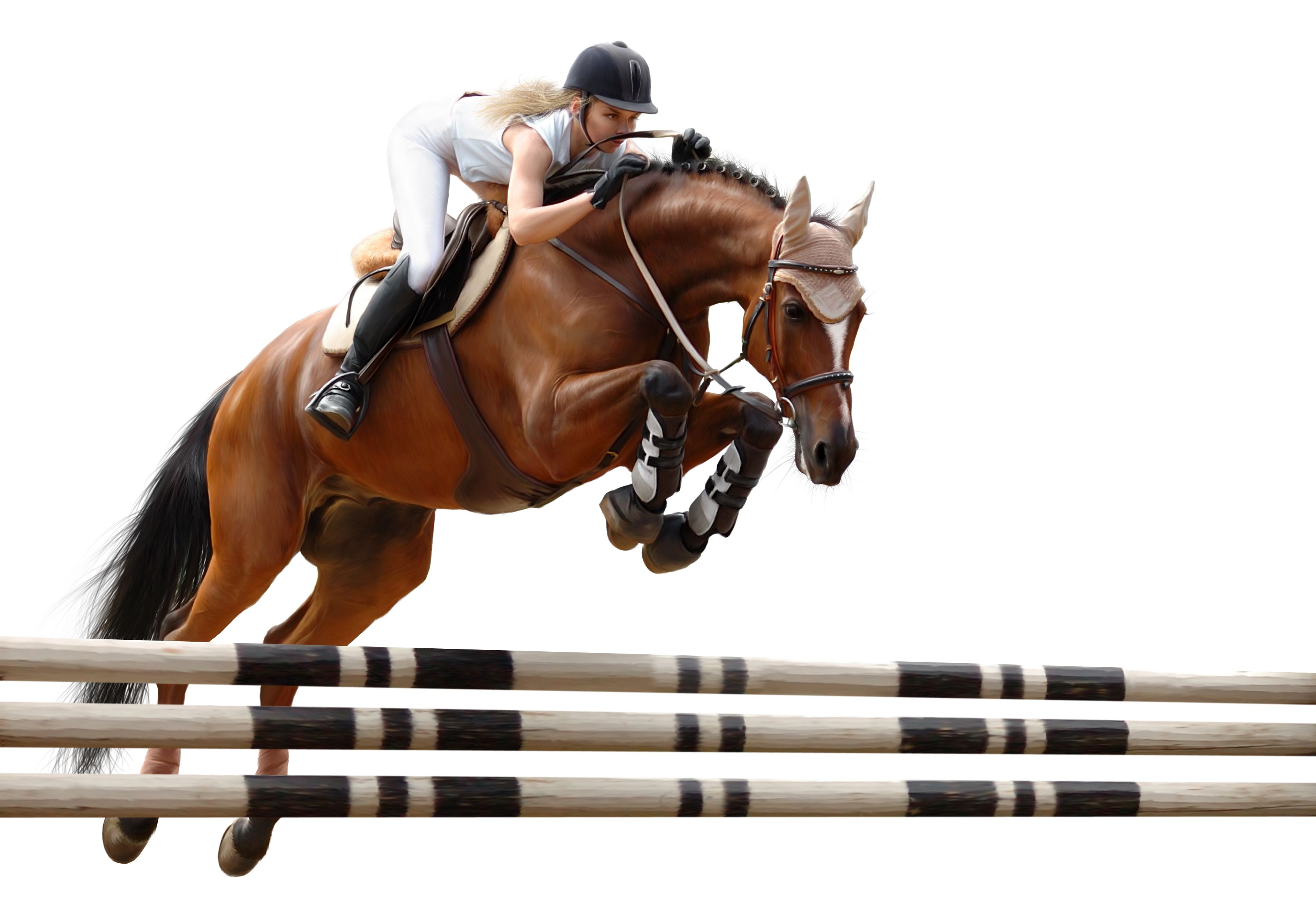 3532x2453 Download Show Jumping Sports HD Wallpaper