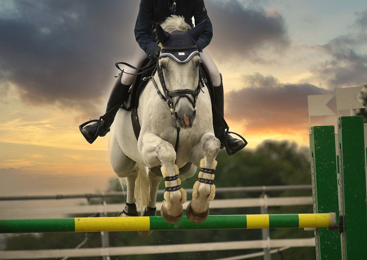 1280x909 Jumping Horse Equestrian photo