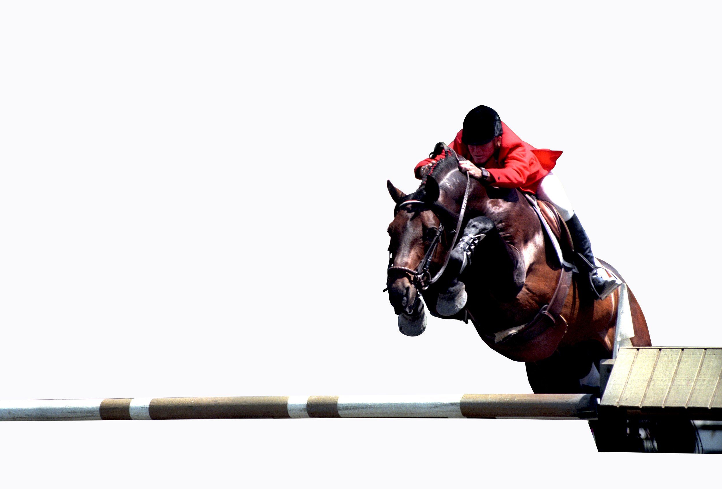 2500x1693 SUSAN HUTCHISON STABLES