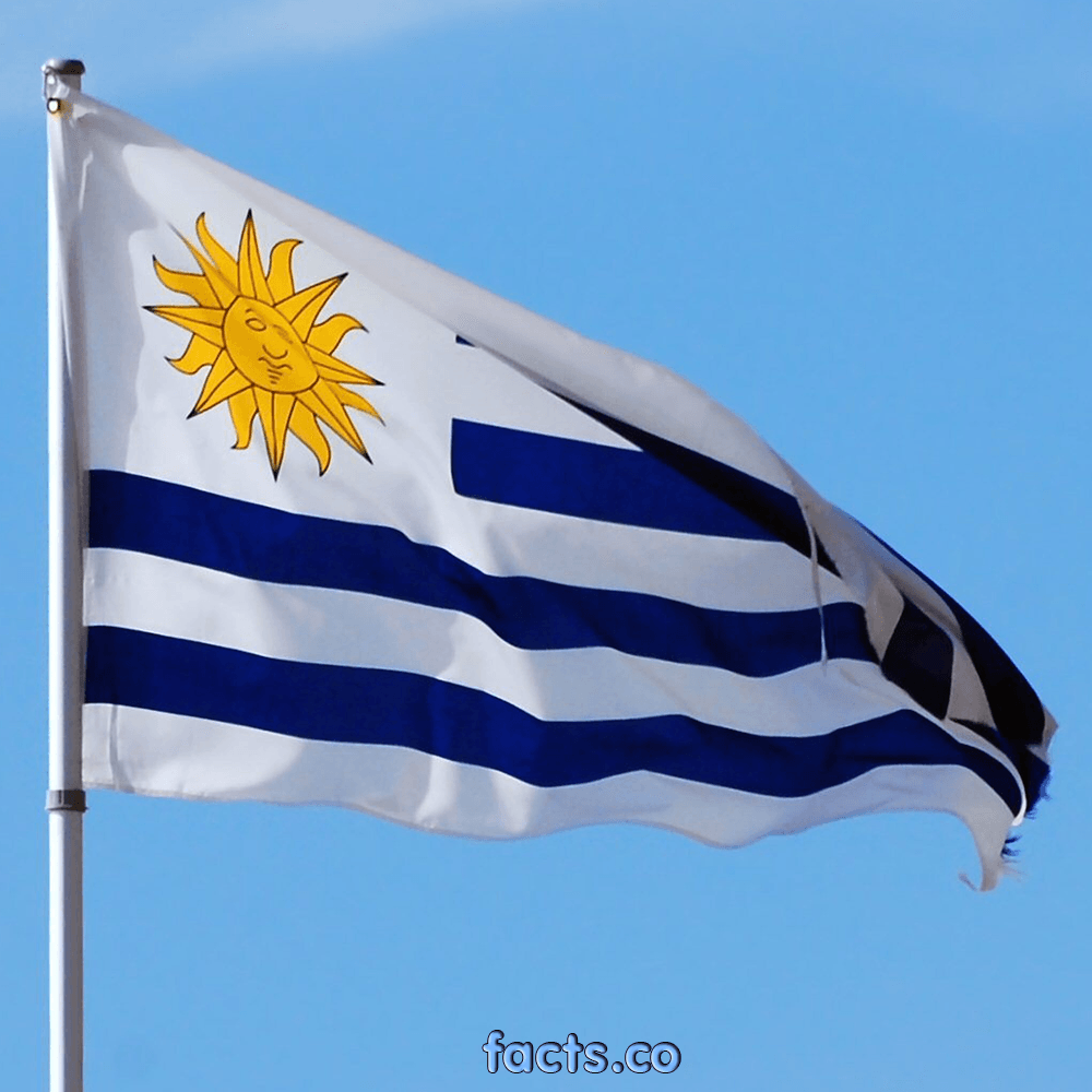 1000x1000 Flag Of Uruguay wallpaper, Misc, HQ Flag Of Uruguay