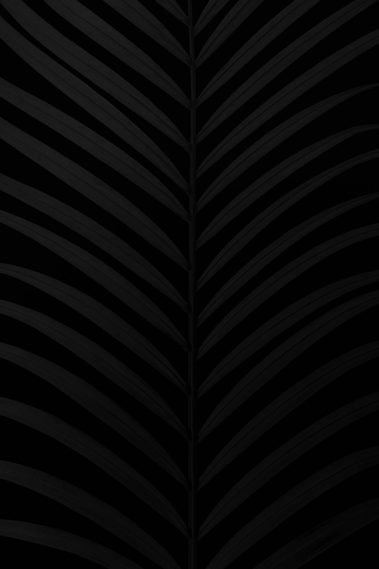 1280x1920 Matte Black Wallpaper
