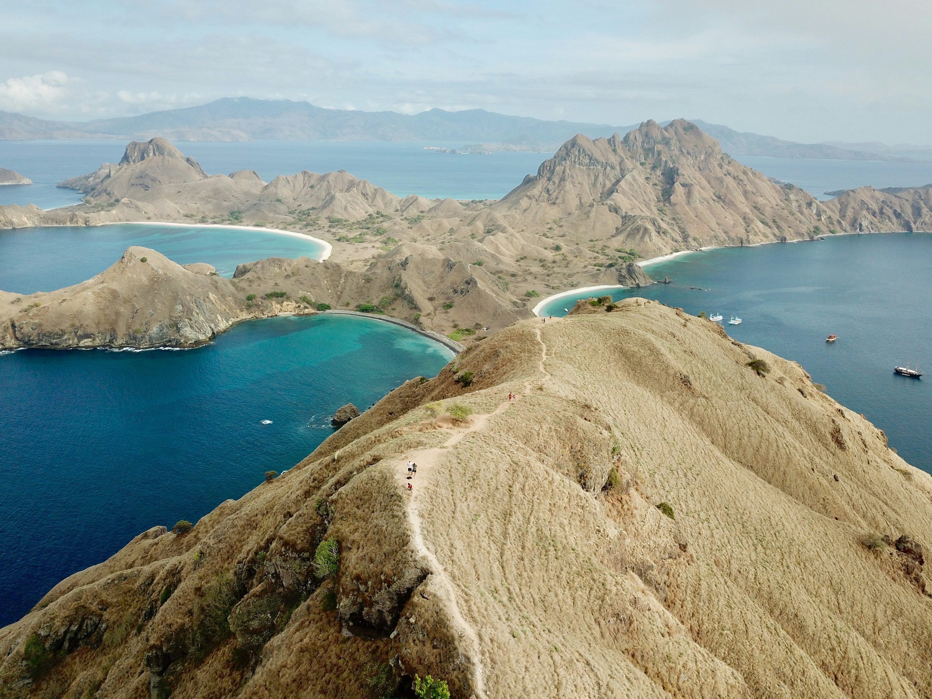 3000x2250 Komodo Island Picture. Download Free