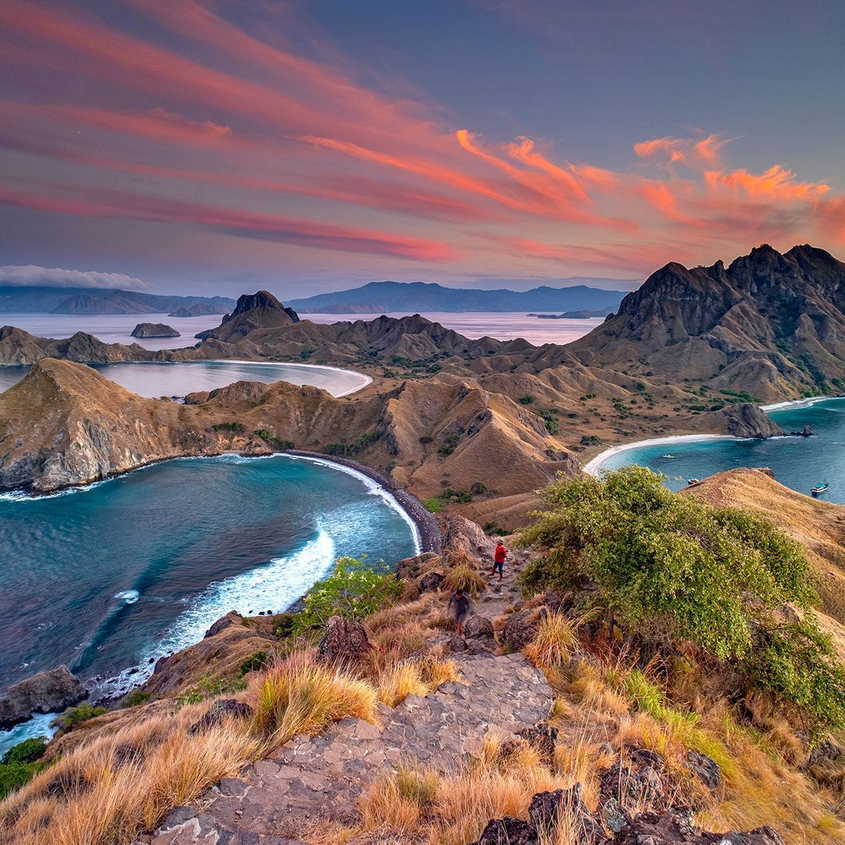 1200x1200 Komodo Island