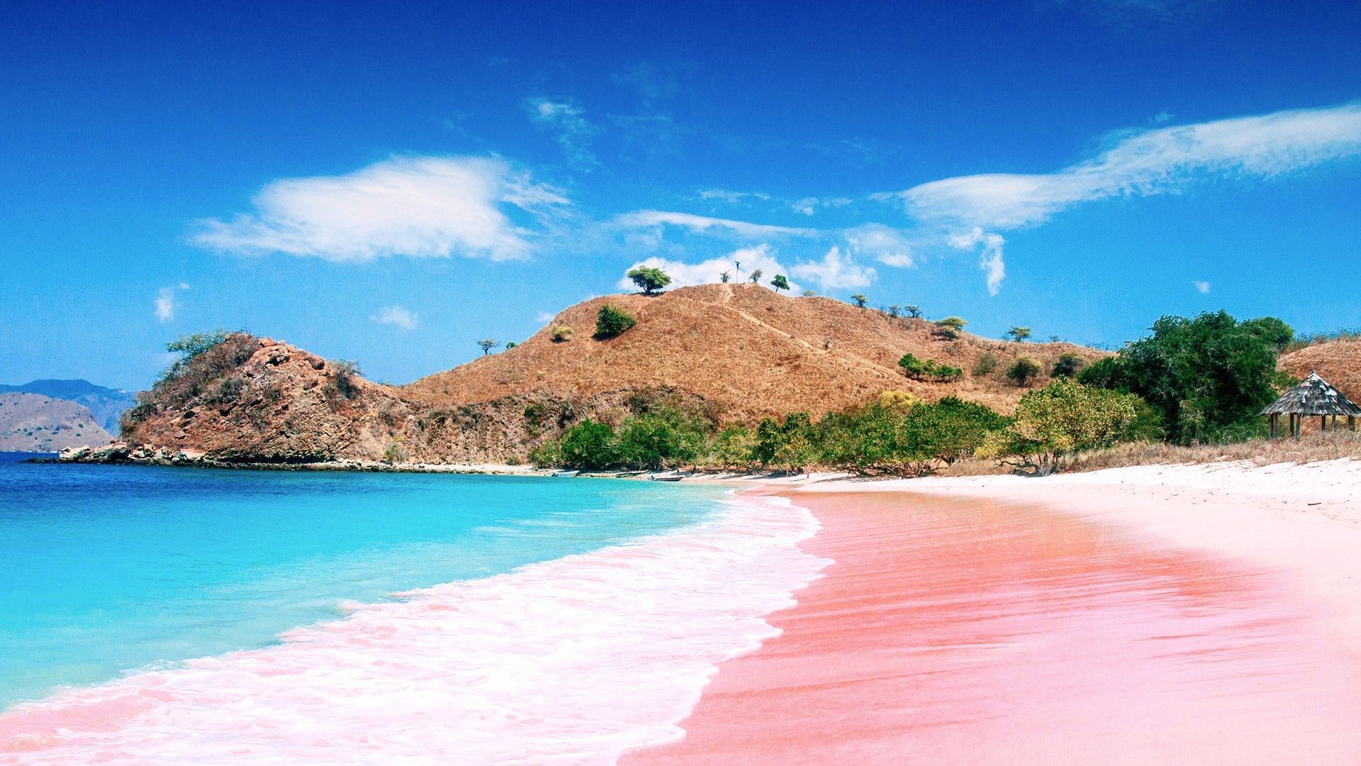 1920x1080 Pink Beach on Komodo Island, East Nusa