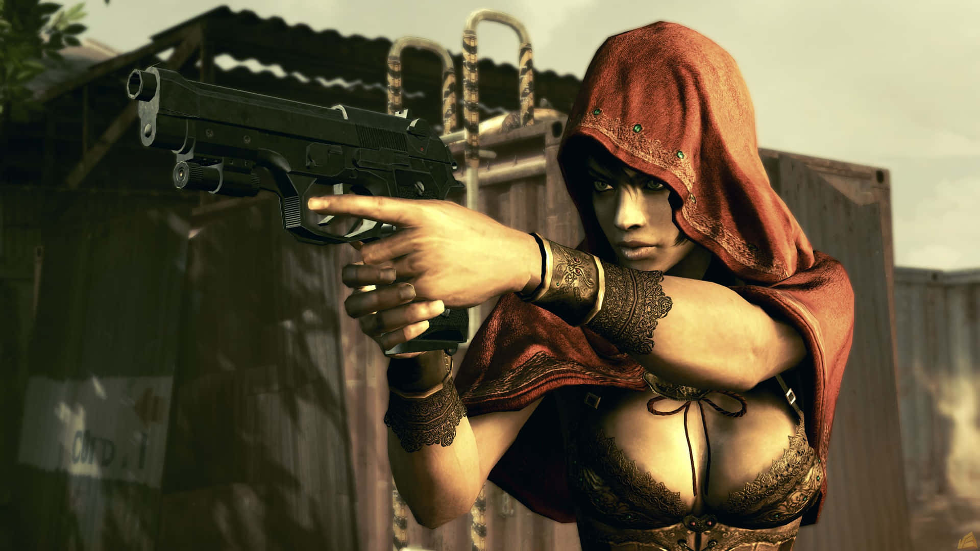 1920x1080 Resident Evil 5 Wallpaper