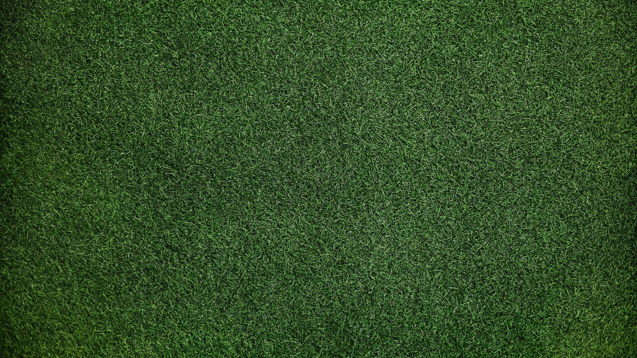 2048x1152 Grass Background 2048x1152 Resolution HD 4k