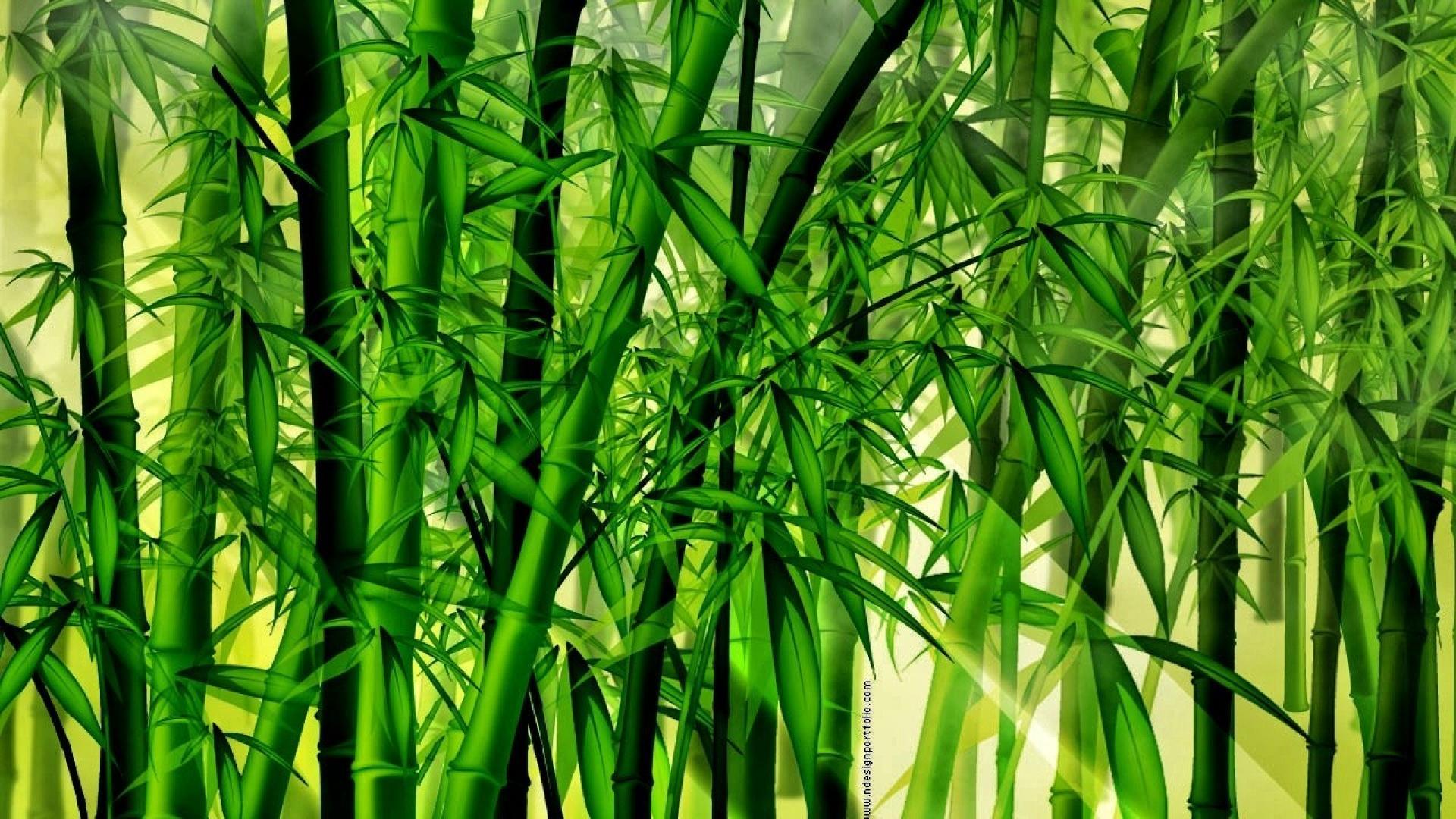 Bamboo Forest Wallpapers - Top Free Bamboo Forest Backgrounds ...