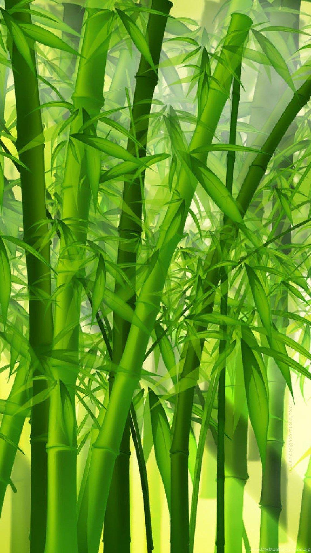 Bamboo Forest Wallpapers - Top Free Bamboo Forest Backgrounds ...