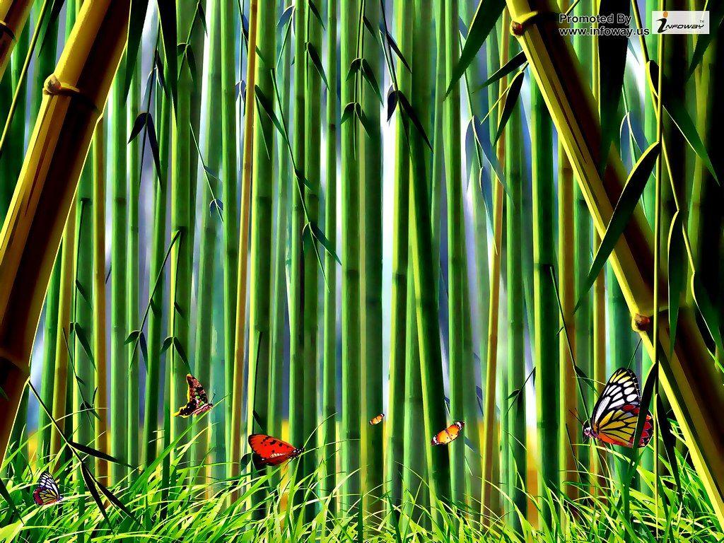 1024x768 Animated bamboo forest wallpaper normal. Animated bamboo fo