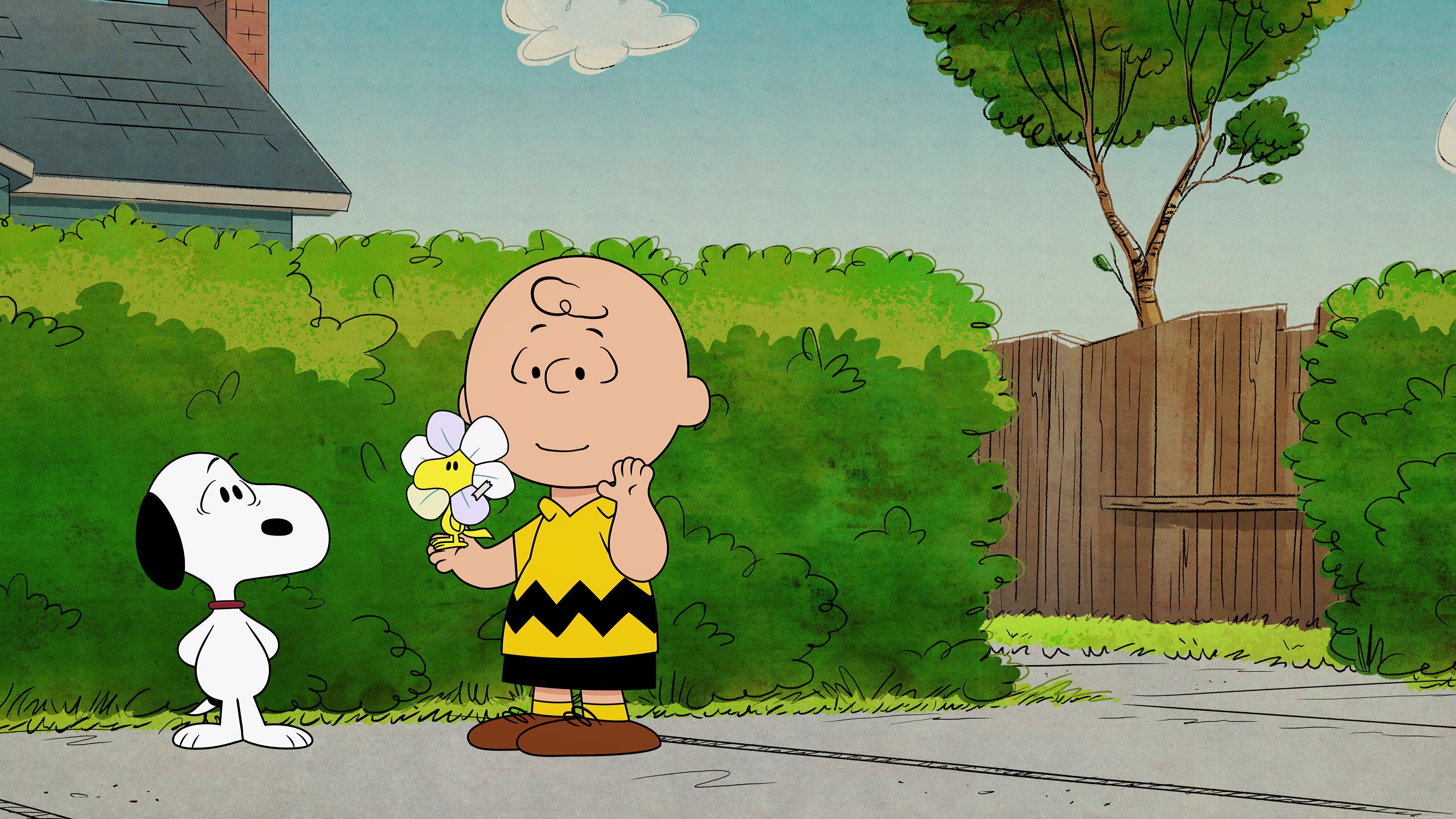 3840x2160 Tv Show, Charlie Brown, Snoopy
