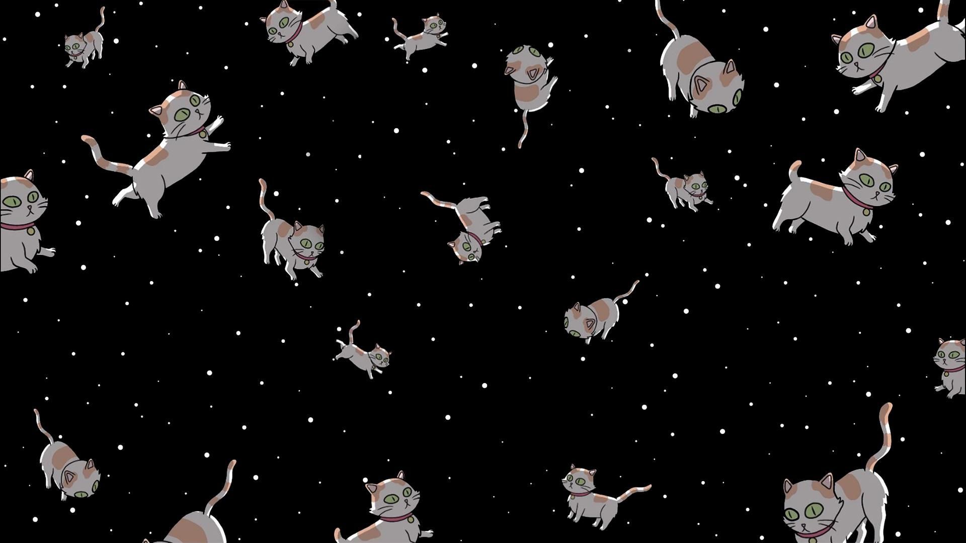 1920x1080 Desktop Aesthetic Cat Wallpaper