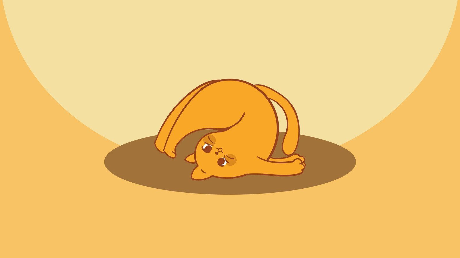 1600x900 cute cat wallpaper templates