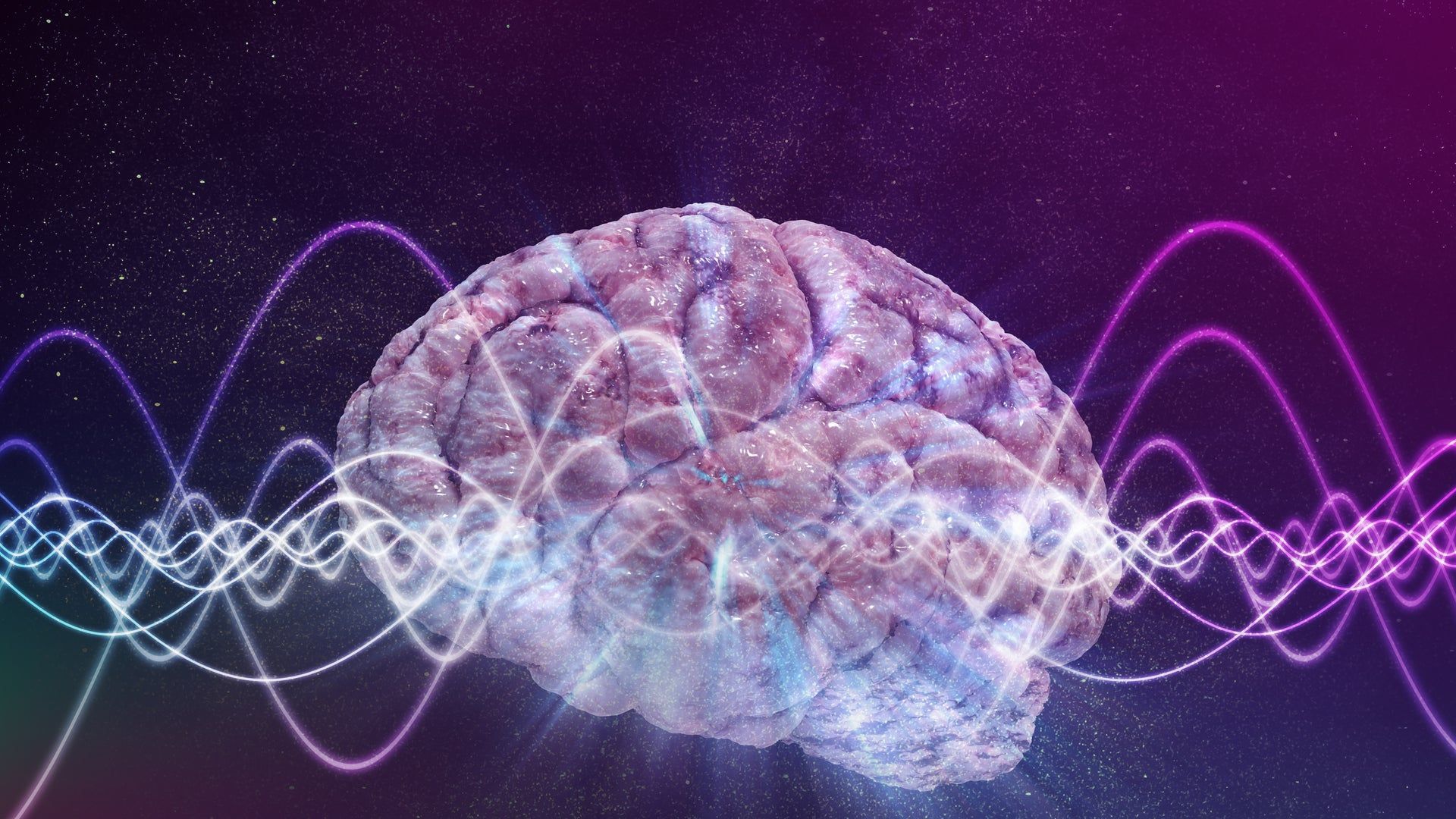 1920x1080 Do Brain Waves Conduct Neural Activity