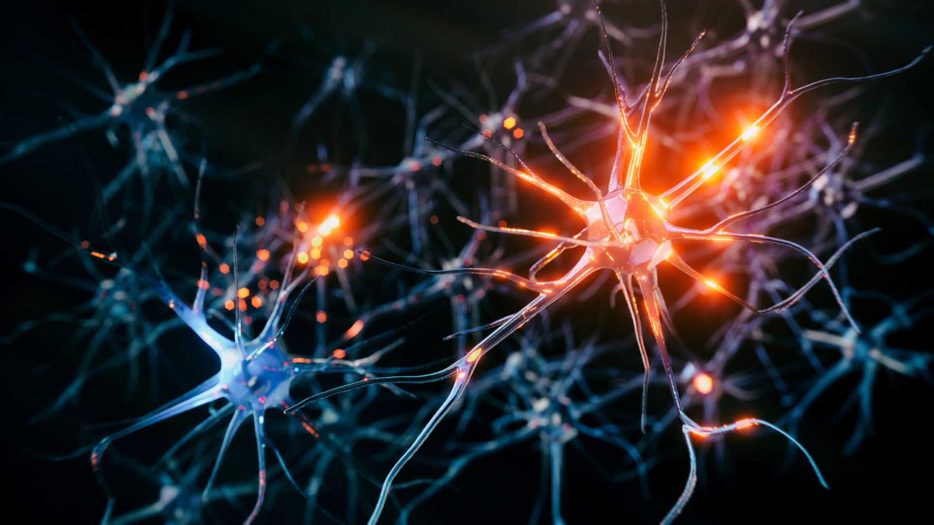 1920x1080 Brain Shape's surprising impact
