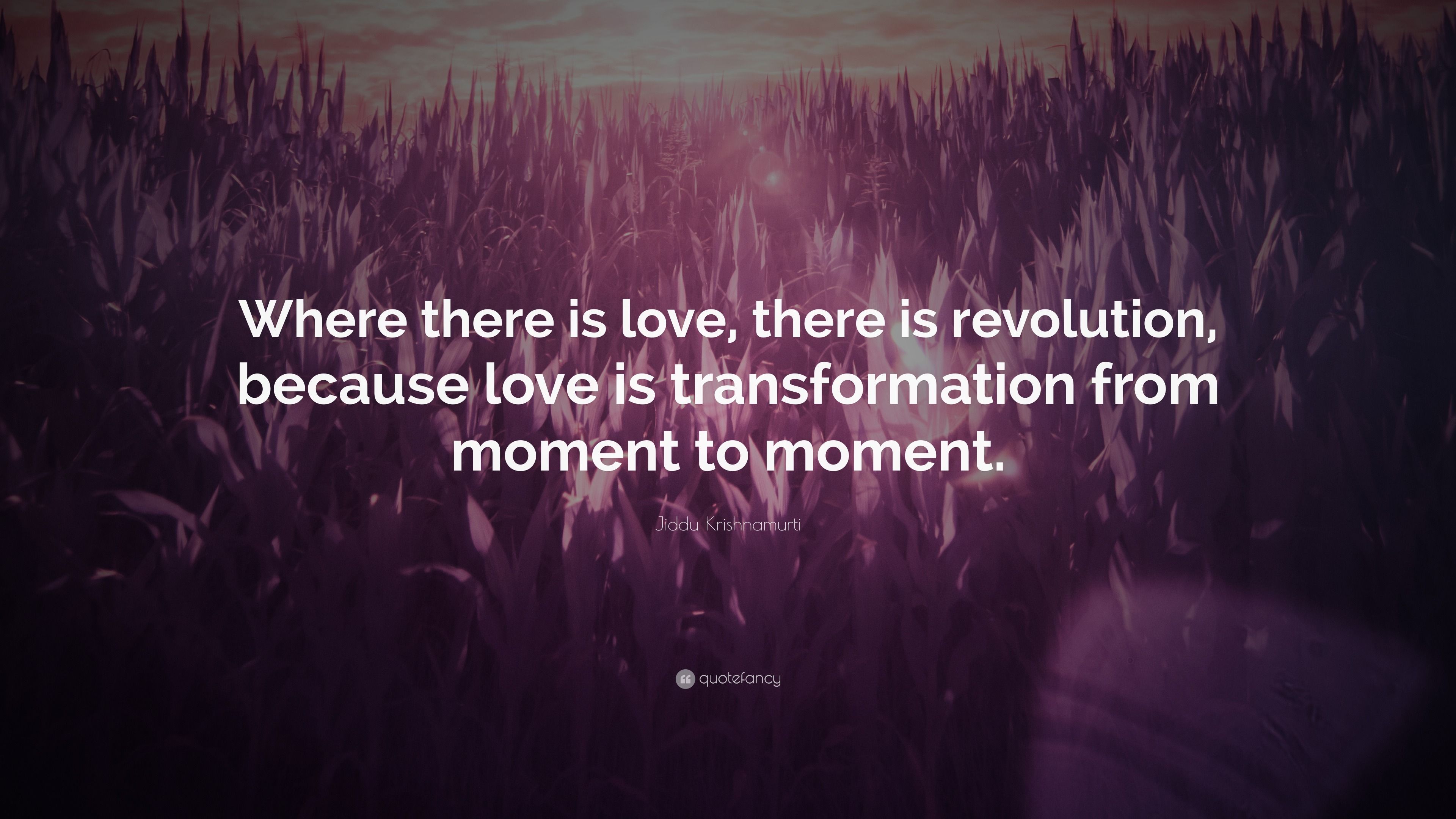 3840x2160 Jiddu Krishnamurti Quote: “Where there