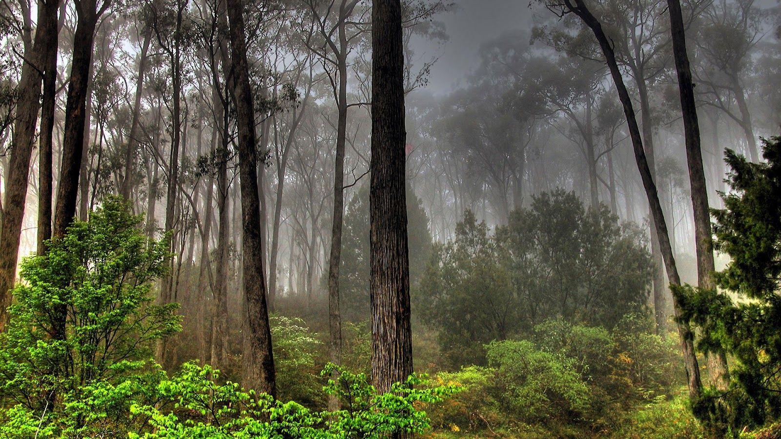 1600x900 Free download wallpaper proslut High Resolution Beautiful Nature